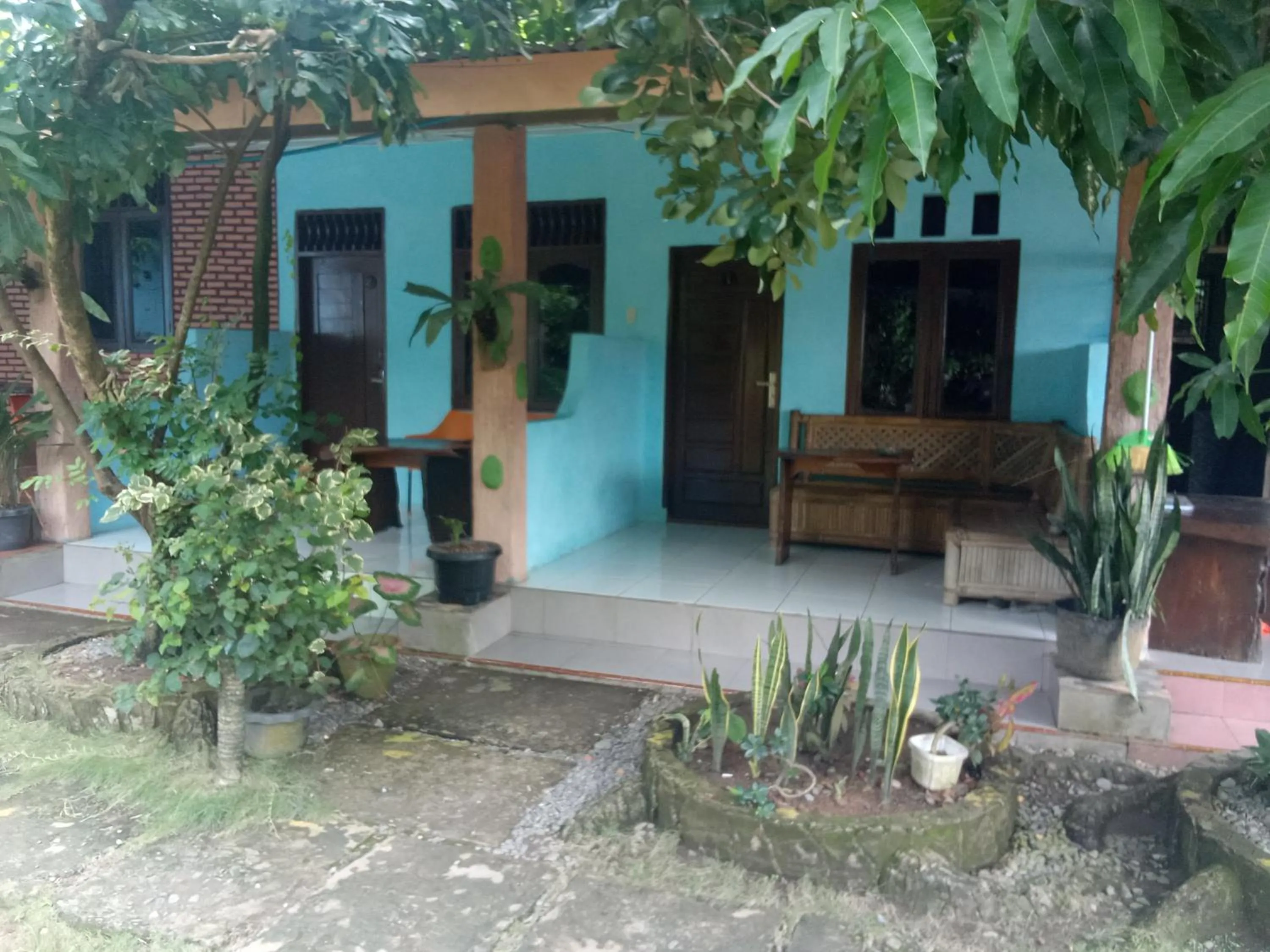 Jungle Trekking & Jungle Tour only stay here if you are and you must booking jungle trekking with us
