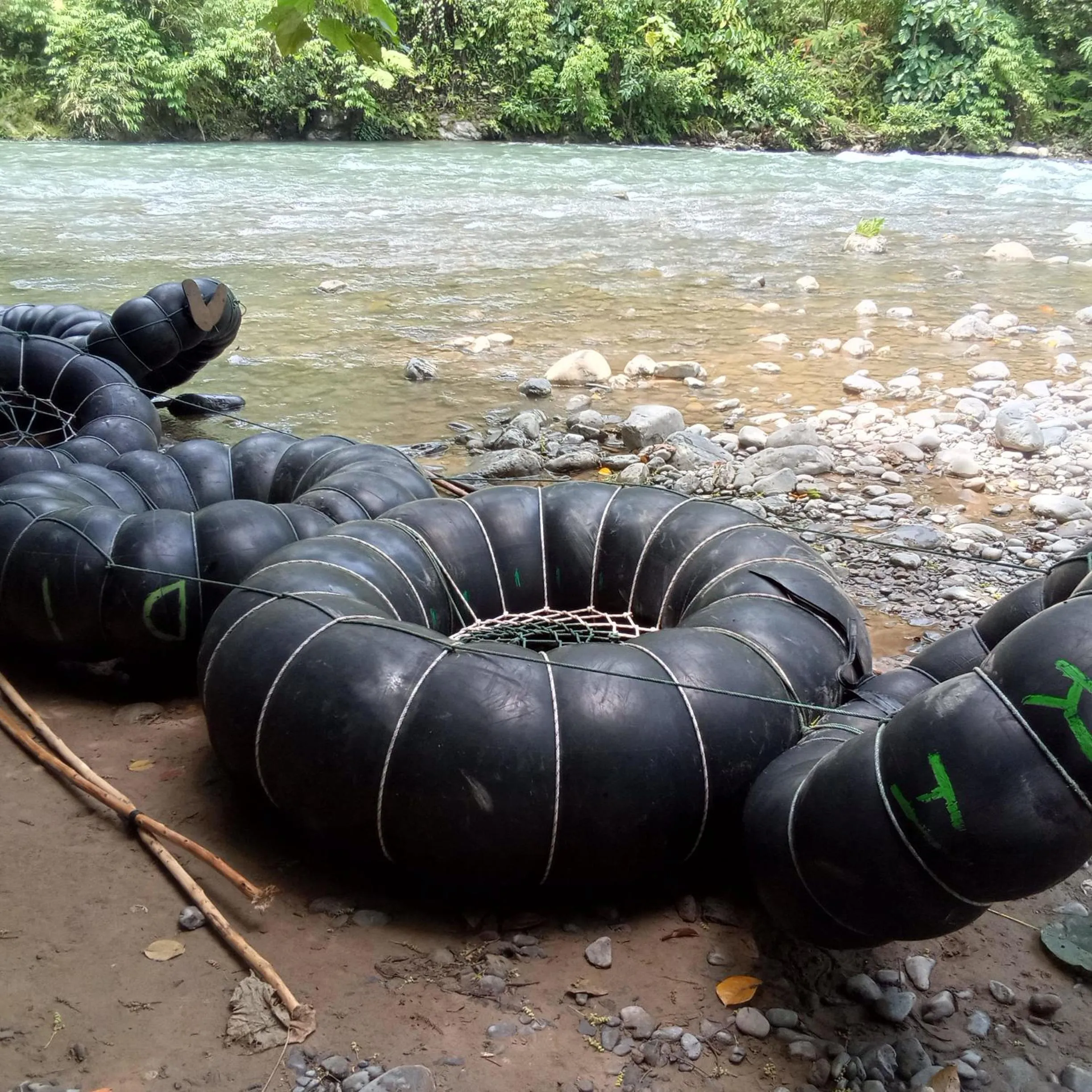 Jungle Trekking & Jungle Tour only stay here if you are and you must booking jungle trekking with us