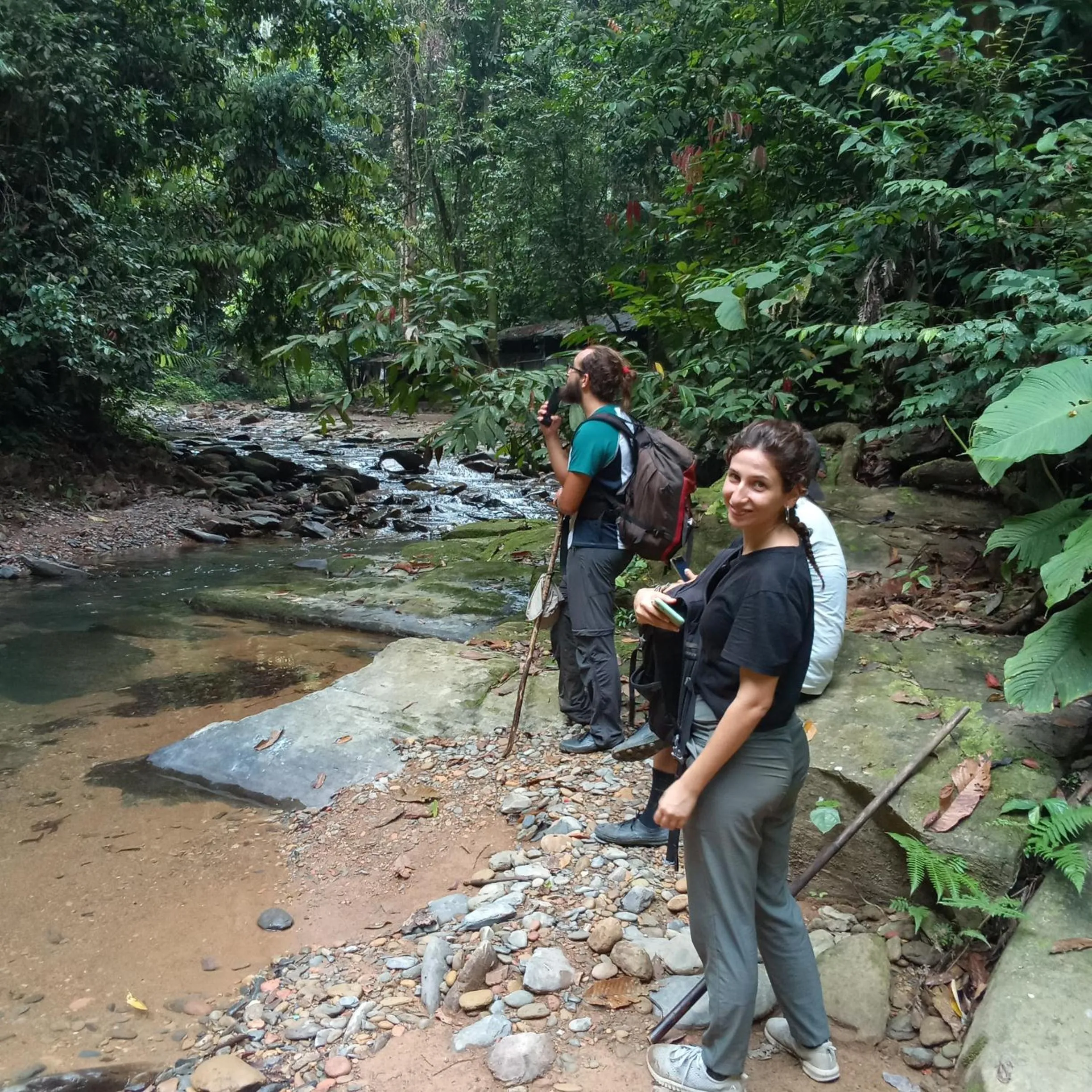 Hiking in Jungle Trekking & Jungle Tour only stay here if you are and you must booking jungle trekking with us