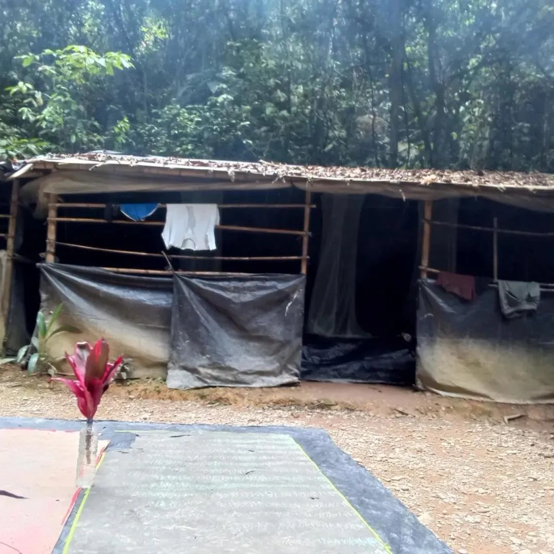 Jungle Trekking & Jungle Tour only stay here if you are and you must booking jungle trekking with us