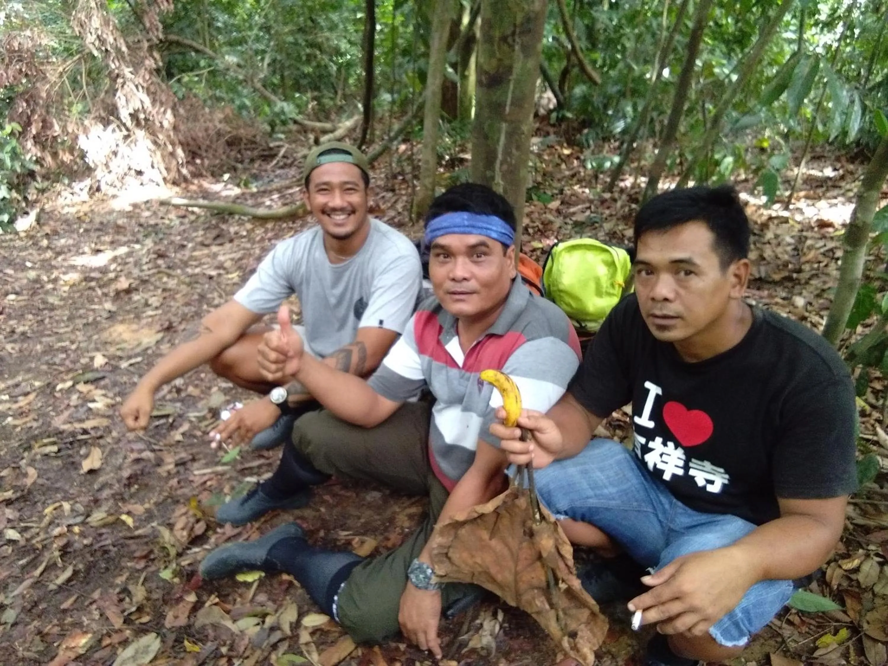 Jungle Trekking & Jungle Tour only stay here if you are and you must booking jungle trekking with us