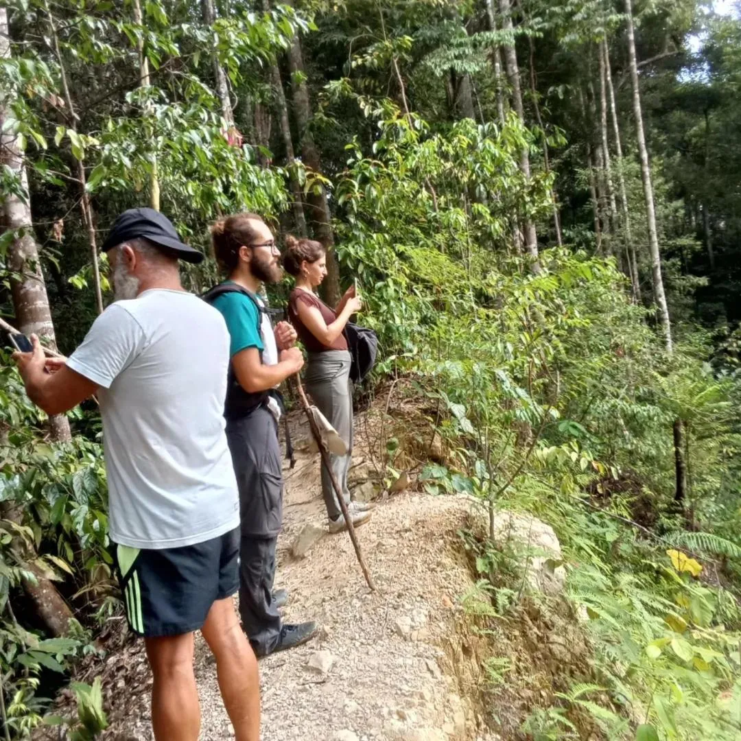 Jungle Trekking & Jungle Tour only stay here if you are and you must booking jungle trekking with us