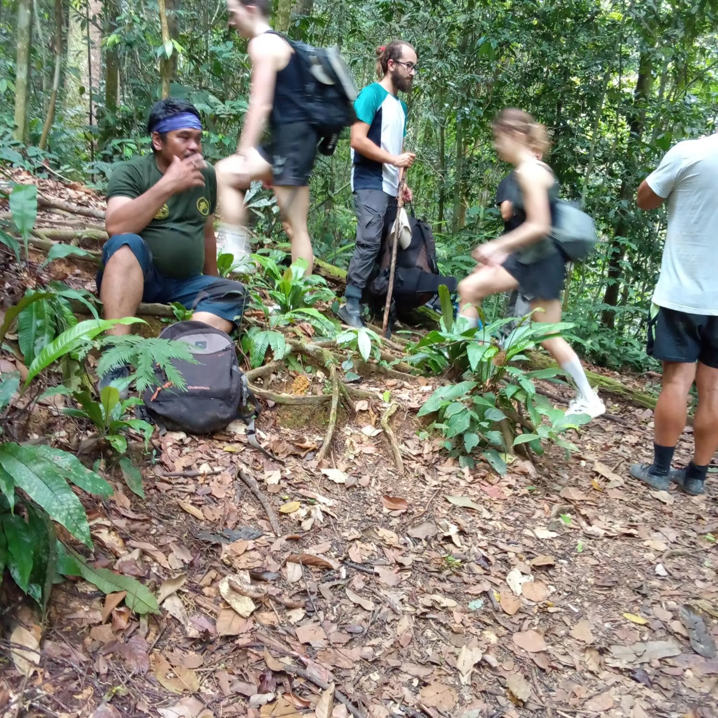 Hiking in Jungle Trekking & Jungle Tour only stay here if you are and you must booking jungle trekking with us
