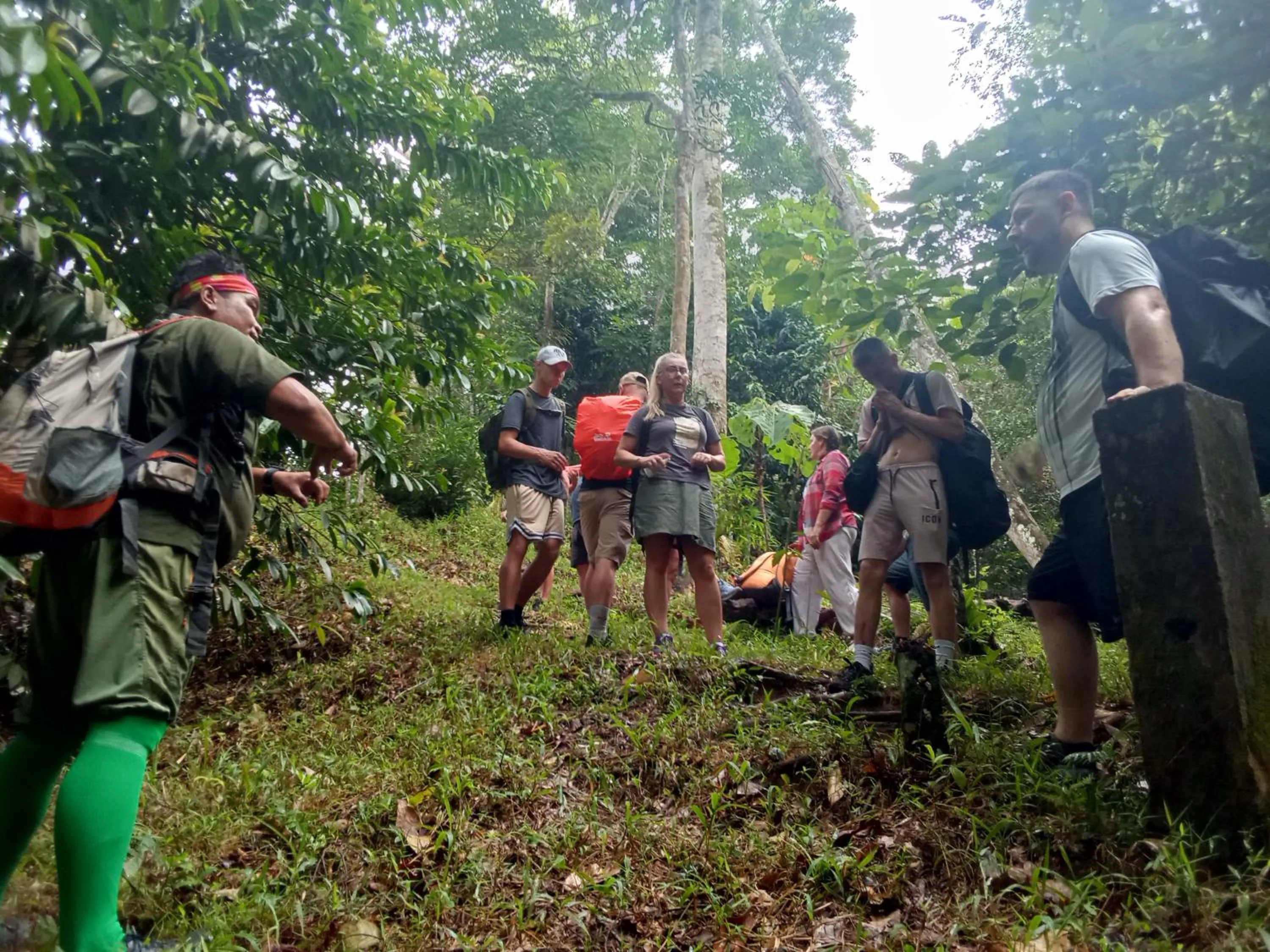 Jungle Trekking & Jungle Tour only stay here if you are and you must booking jungle trekking with us