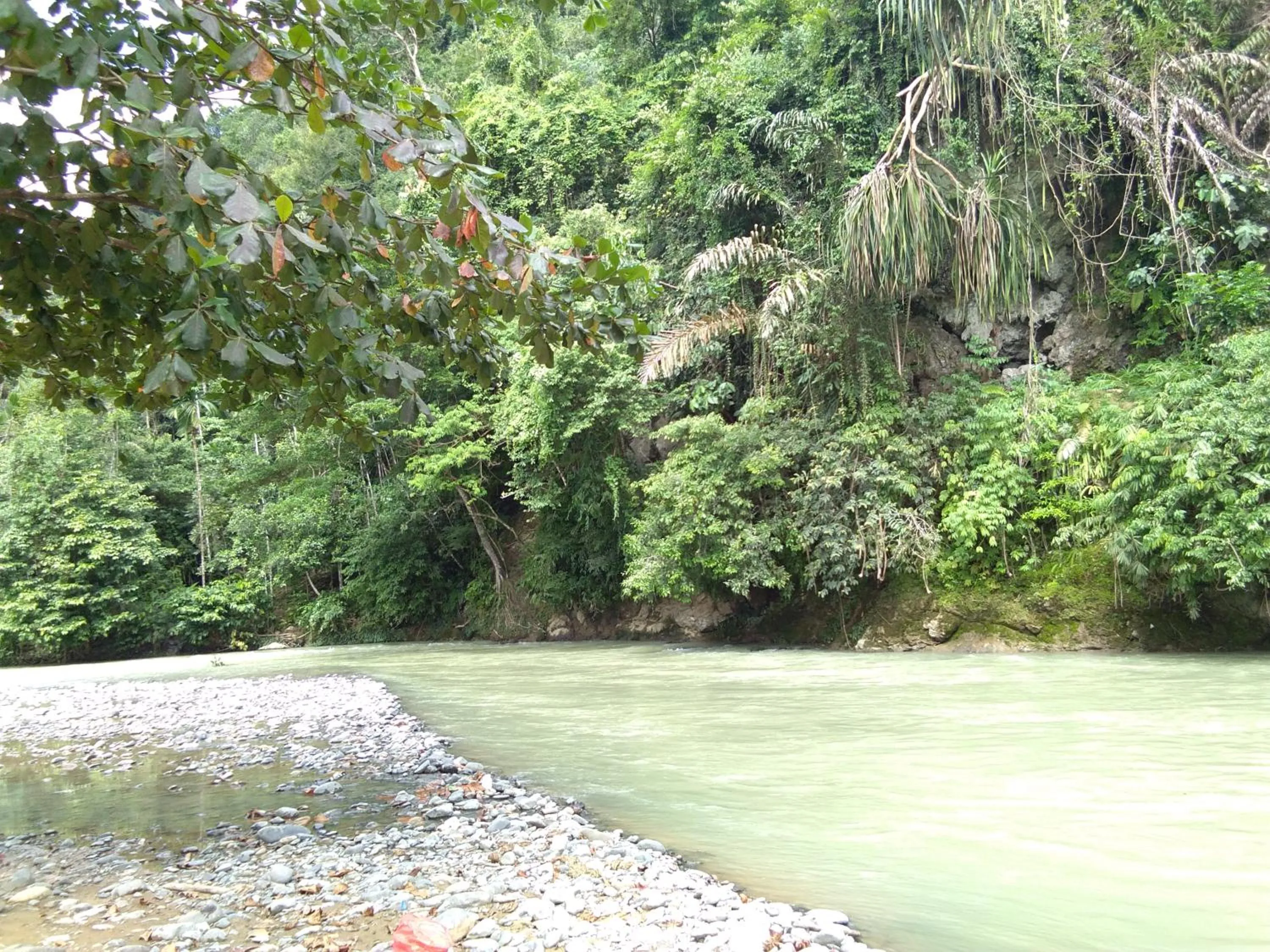 Jungle Trekking & Jungle Tour only stay here if you are and you must booking jungle trekking with us