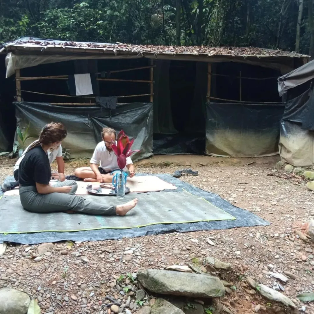 Jungle Trekking & Jungle Tour only stay here if you are and you must booking jungle trekking with us
