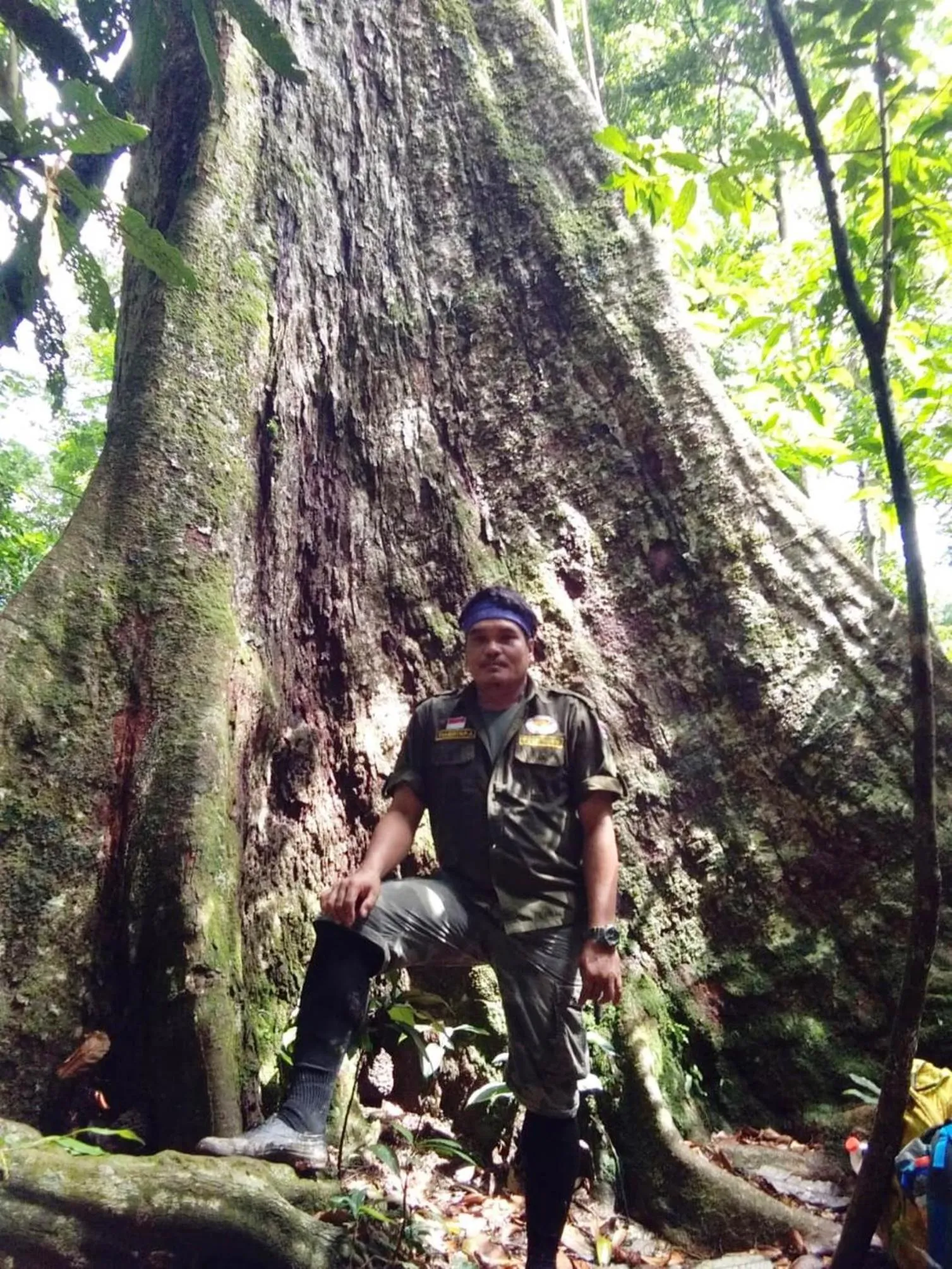 Hiking in Jungle Trekking & Jungle Tour only stay here if you are and you must booking jungle trekking with us