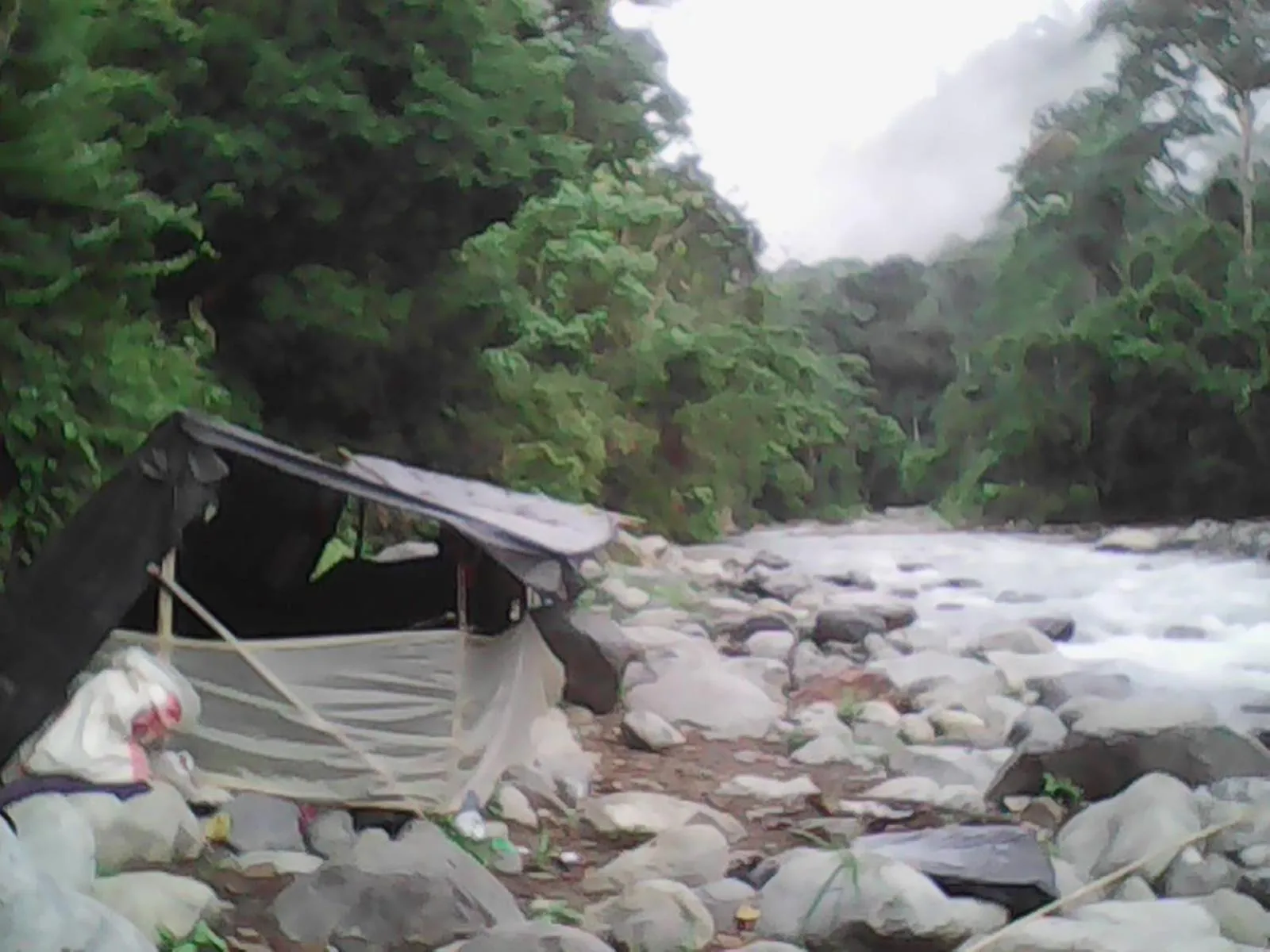 Jungle Trekking & Jungle Tour only stay here if you are and you must booking jungle trekking with us