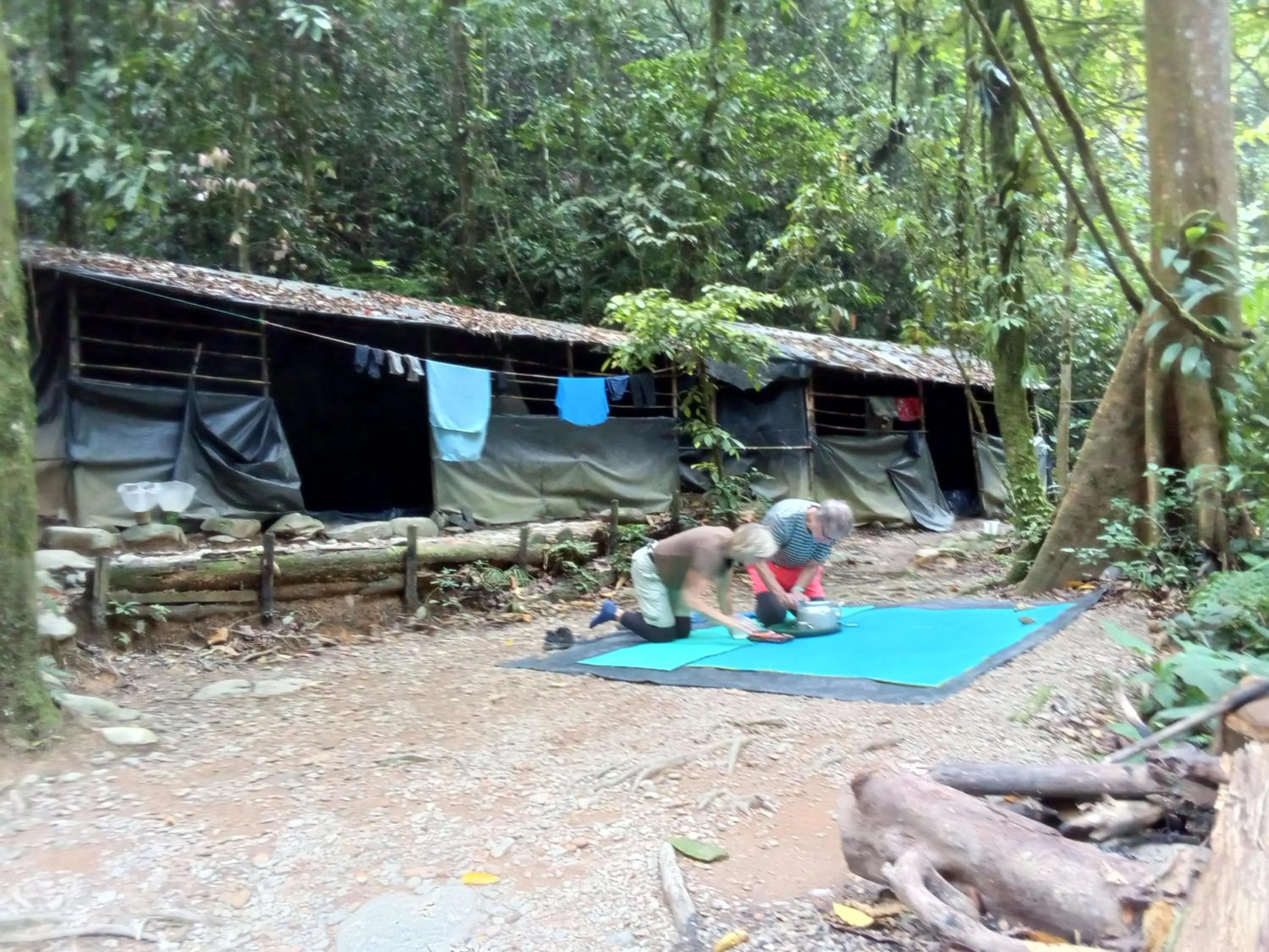Jungle Trekking & Jungle Tour only stay here if you are and you must booking jungle trekking with us