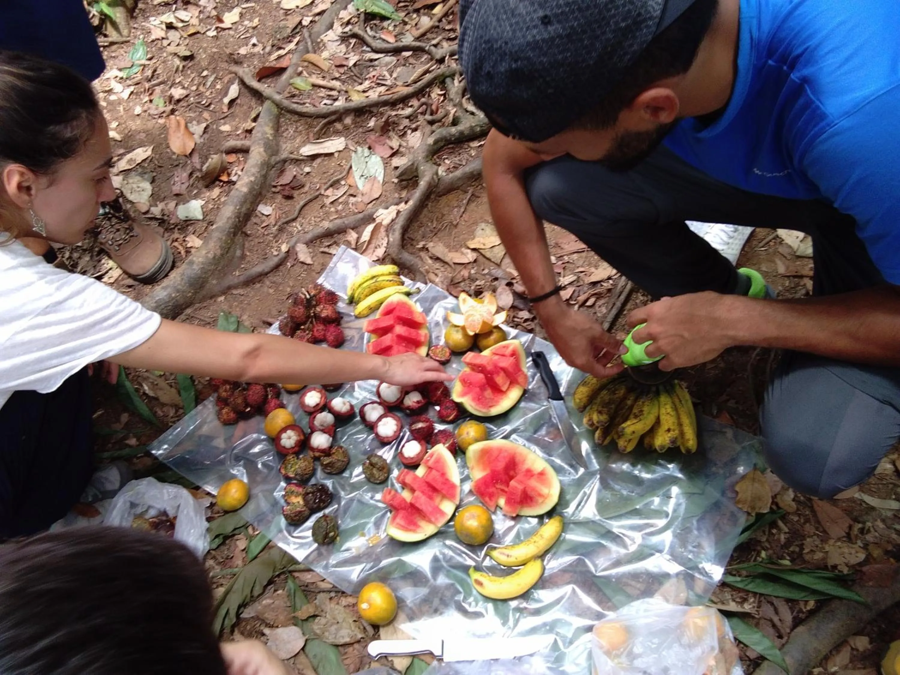 Jungle Trekking & Jungle Tour only stay here if you are and you must booking jungle trekking with us