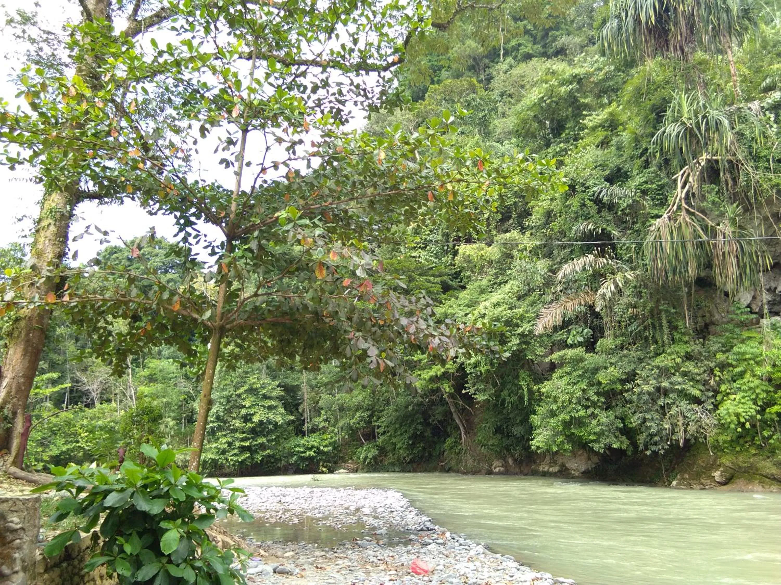 Jungle Trekking & Jungle Tour only stay here if you are and you must booking jungle trekking with us