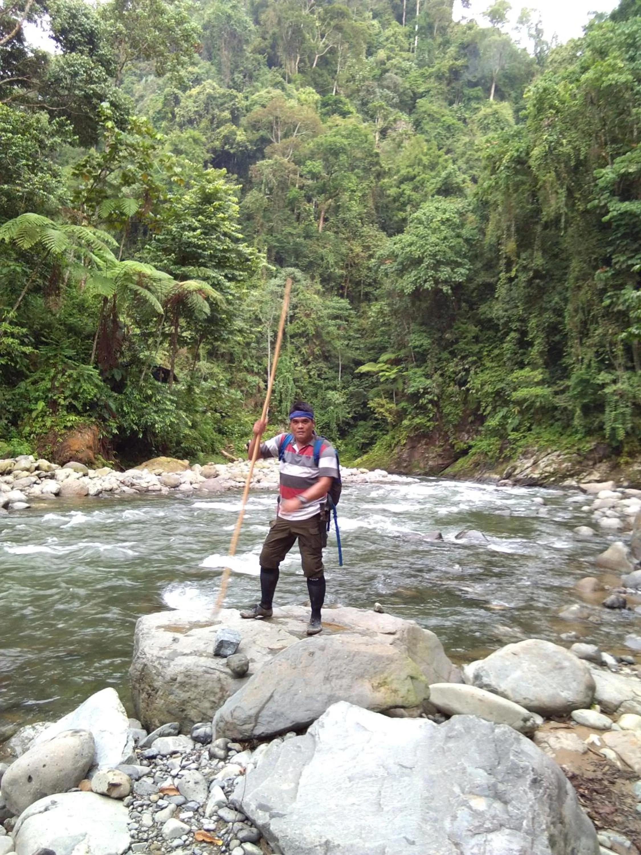 Jungle Trekking & Jungle Tour only stay here if you are and you must booking jungle trekking with us