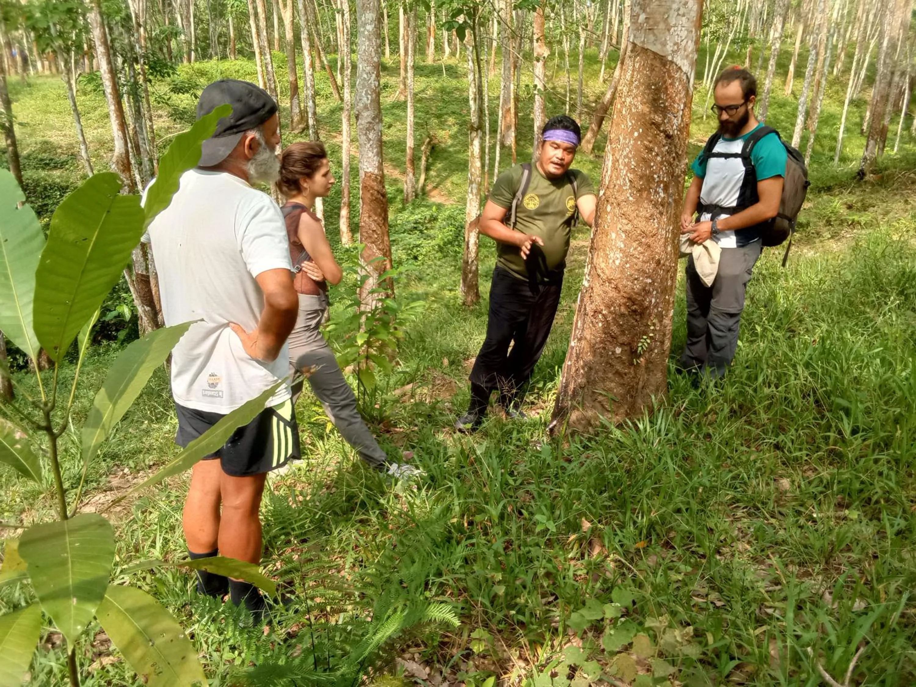 Jungle Trekking & Jungle Tour only stay here if you are and you must booking jungle trekking with us