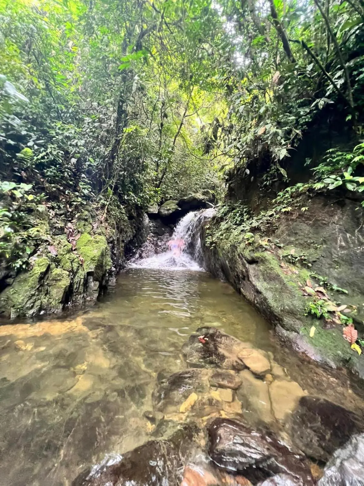 Jungle Trekking & Jungle Tour only stay here if you are and you must booking jungle trekking with us