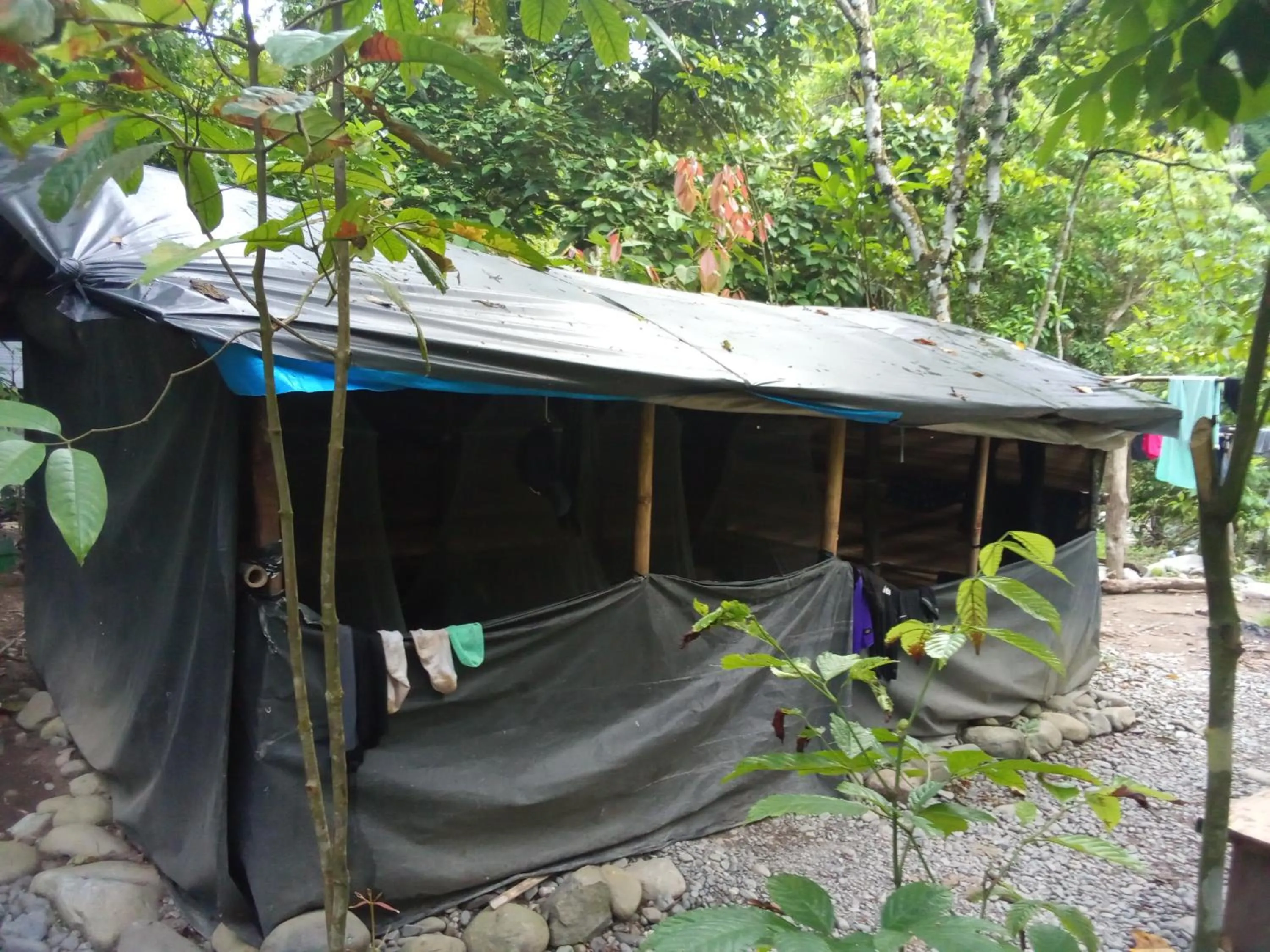Jungle Trekking & Jungle Tour only stay here if you are and you must booking jungle trekking with us