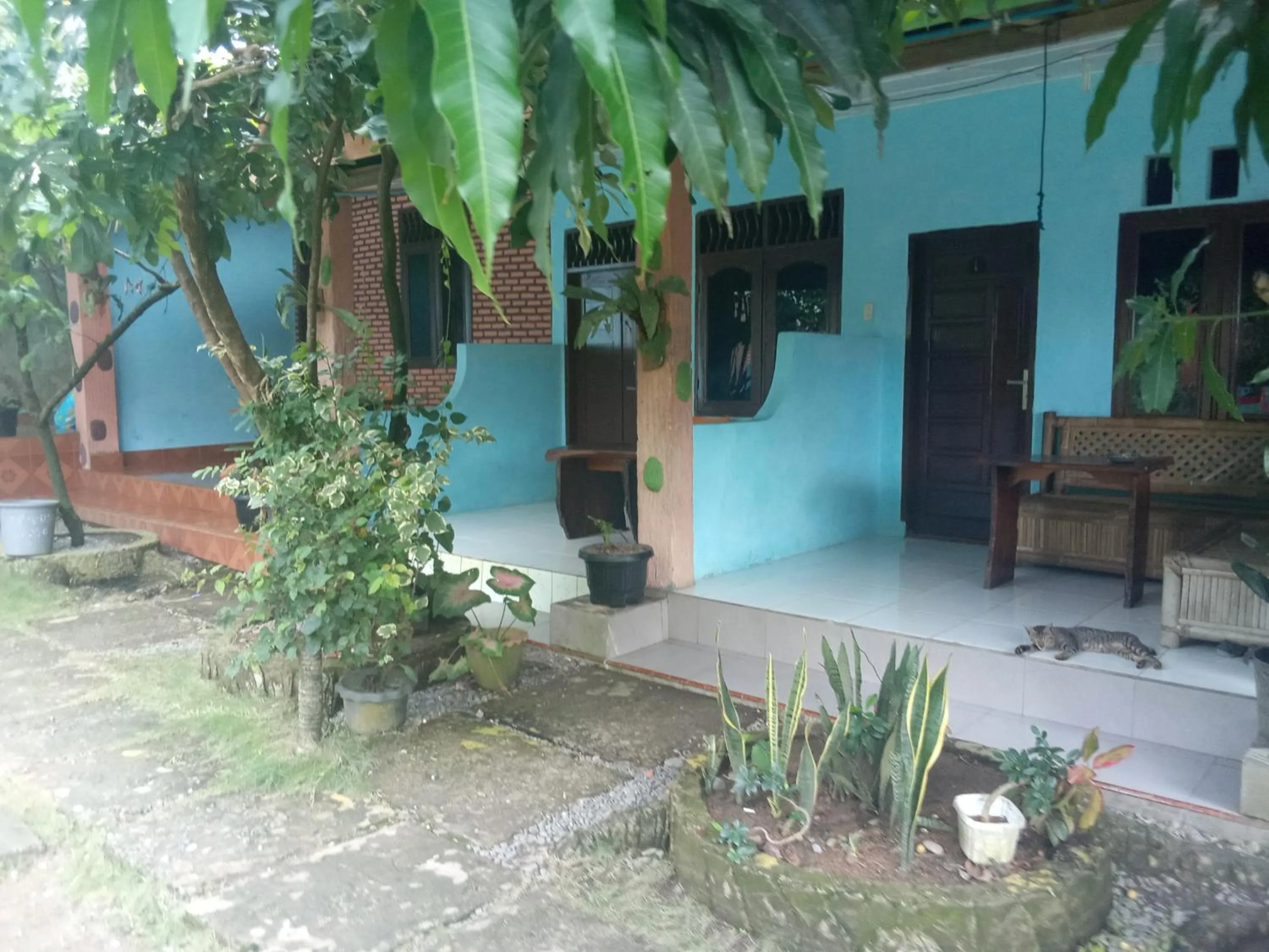 Jungle Trekking & Jungle Tour only stay here if you are and you must booking jungle trekking with us