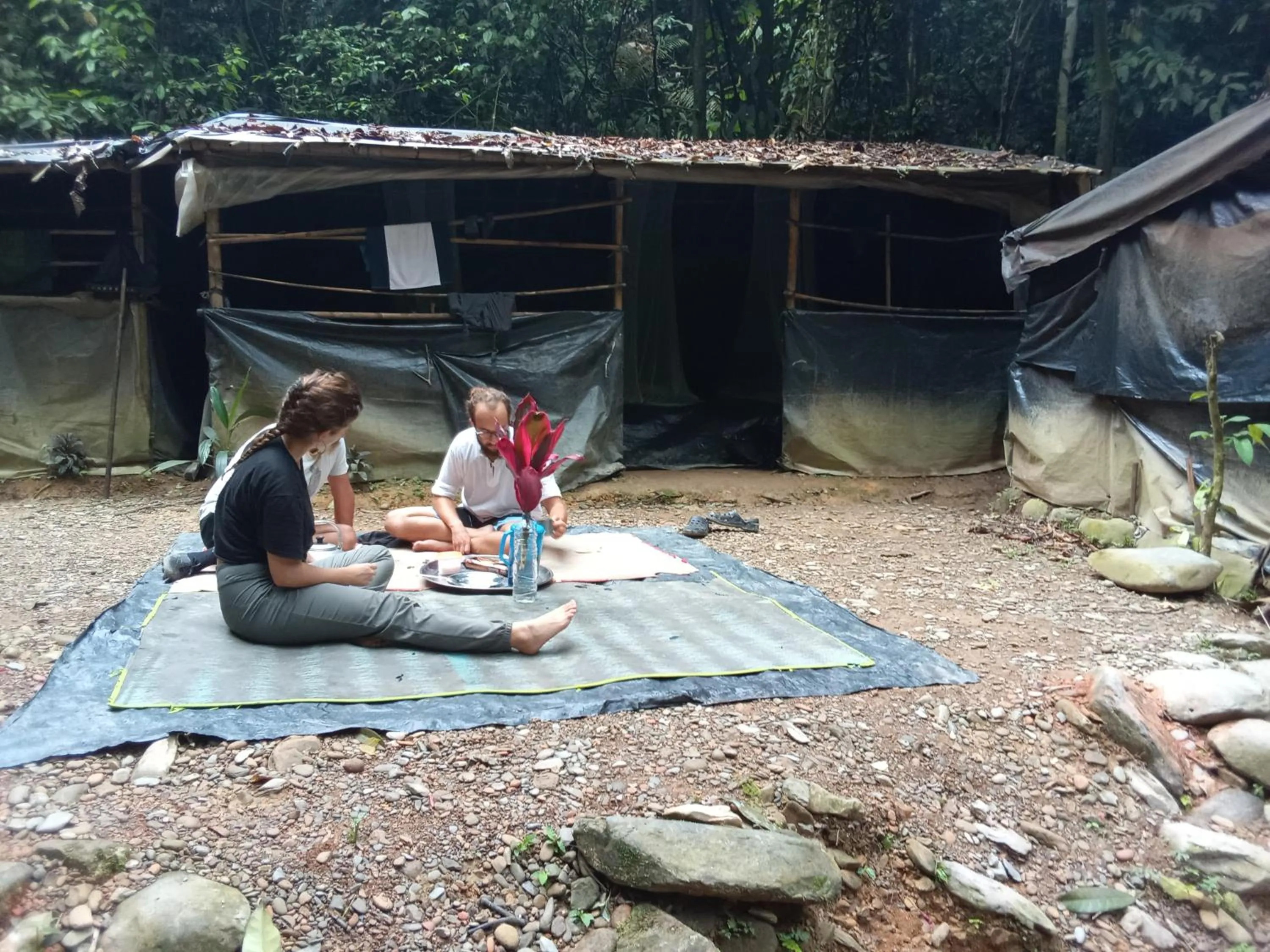 Jungle Trekking & Jungle Tour only stay here if you are and you must booking jungle trekking with us