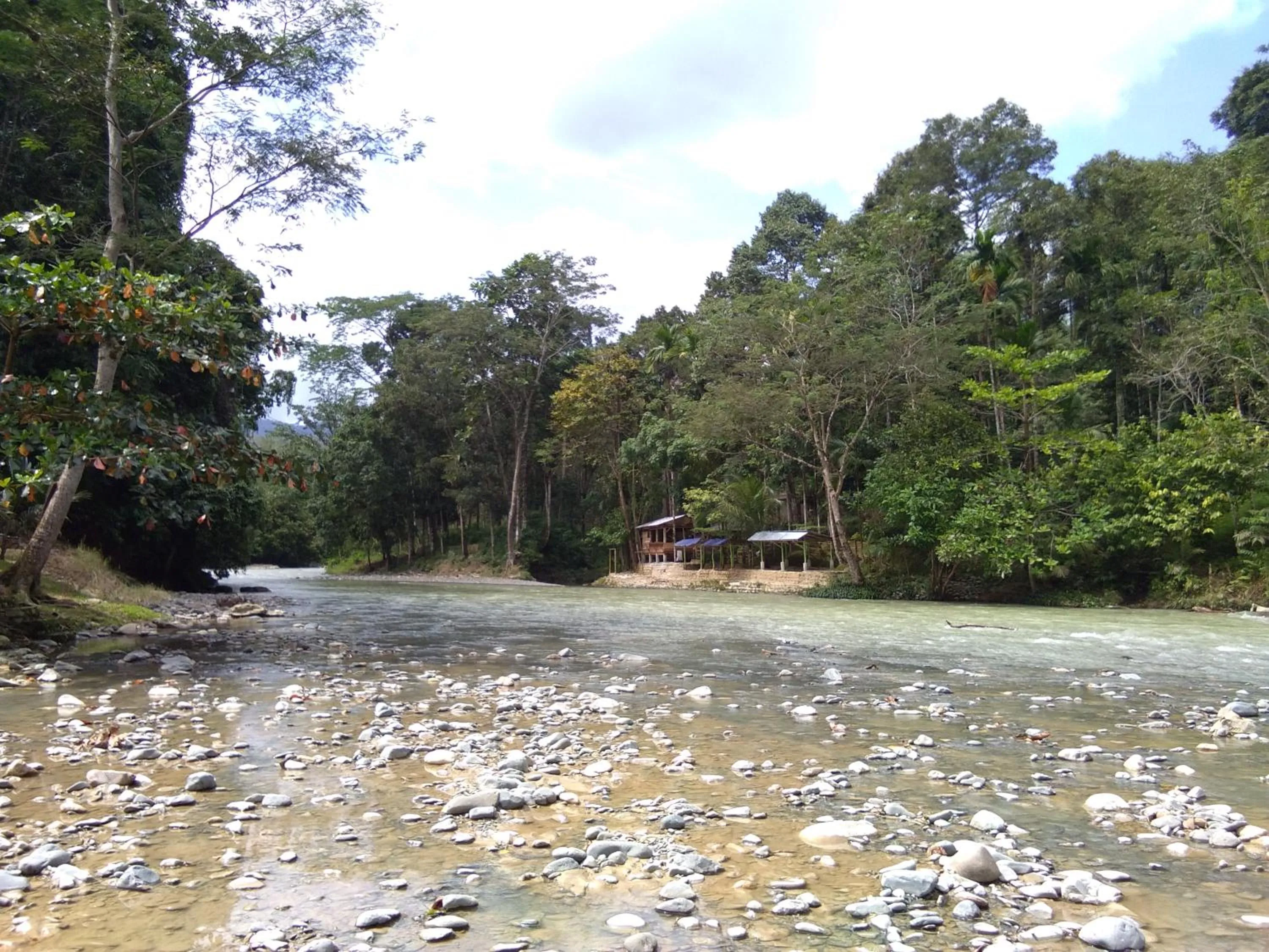 Jungle Trekking & Jungle Tour only stay here if you are and you must booking jungle trekking with us