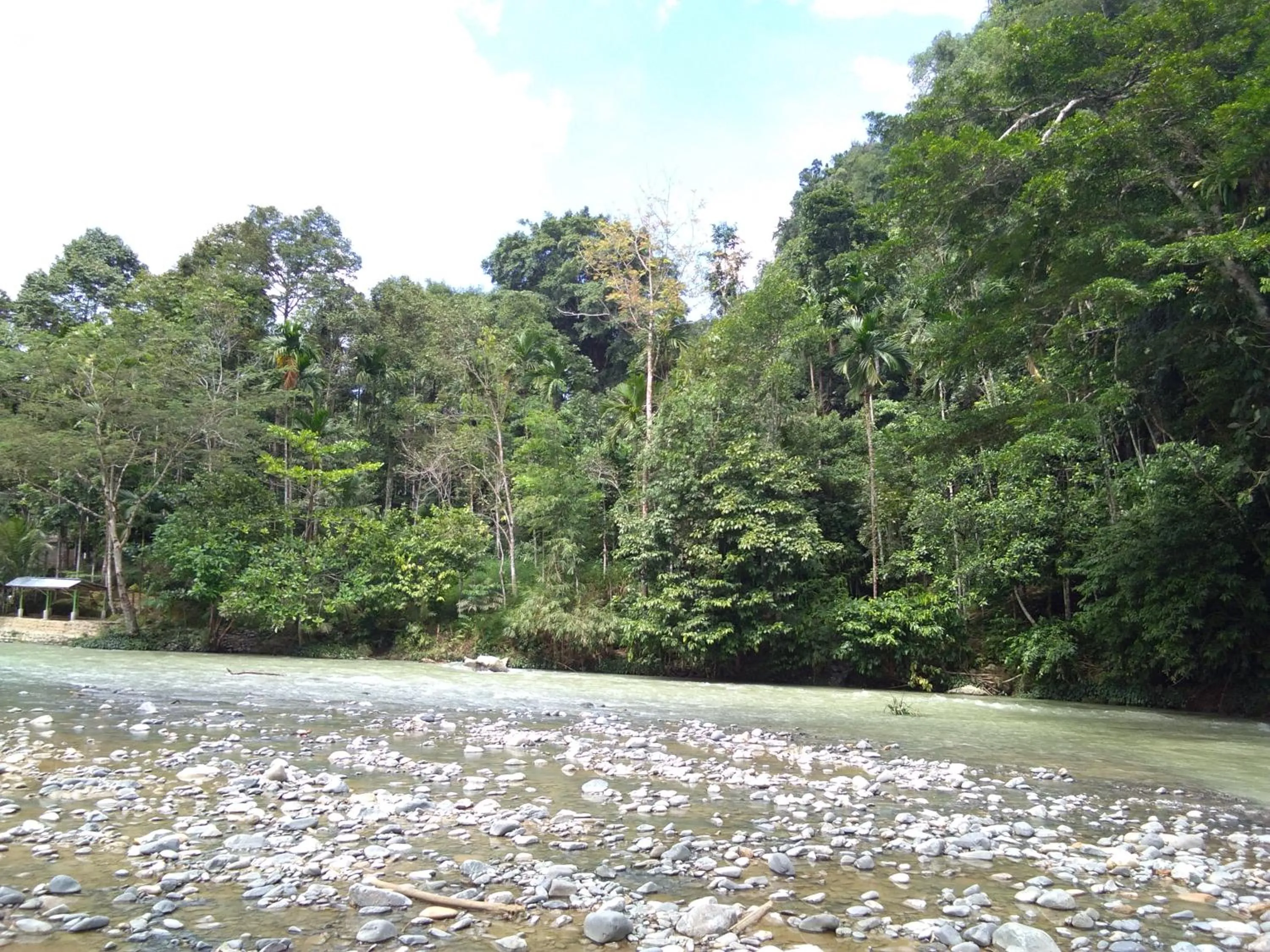 Jungle Trekking & Jungle Tour only stay here if you are and you must booking jungle trekking with us