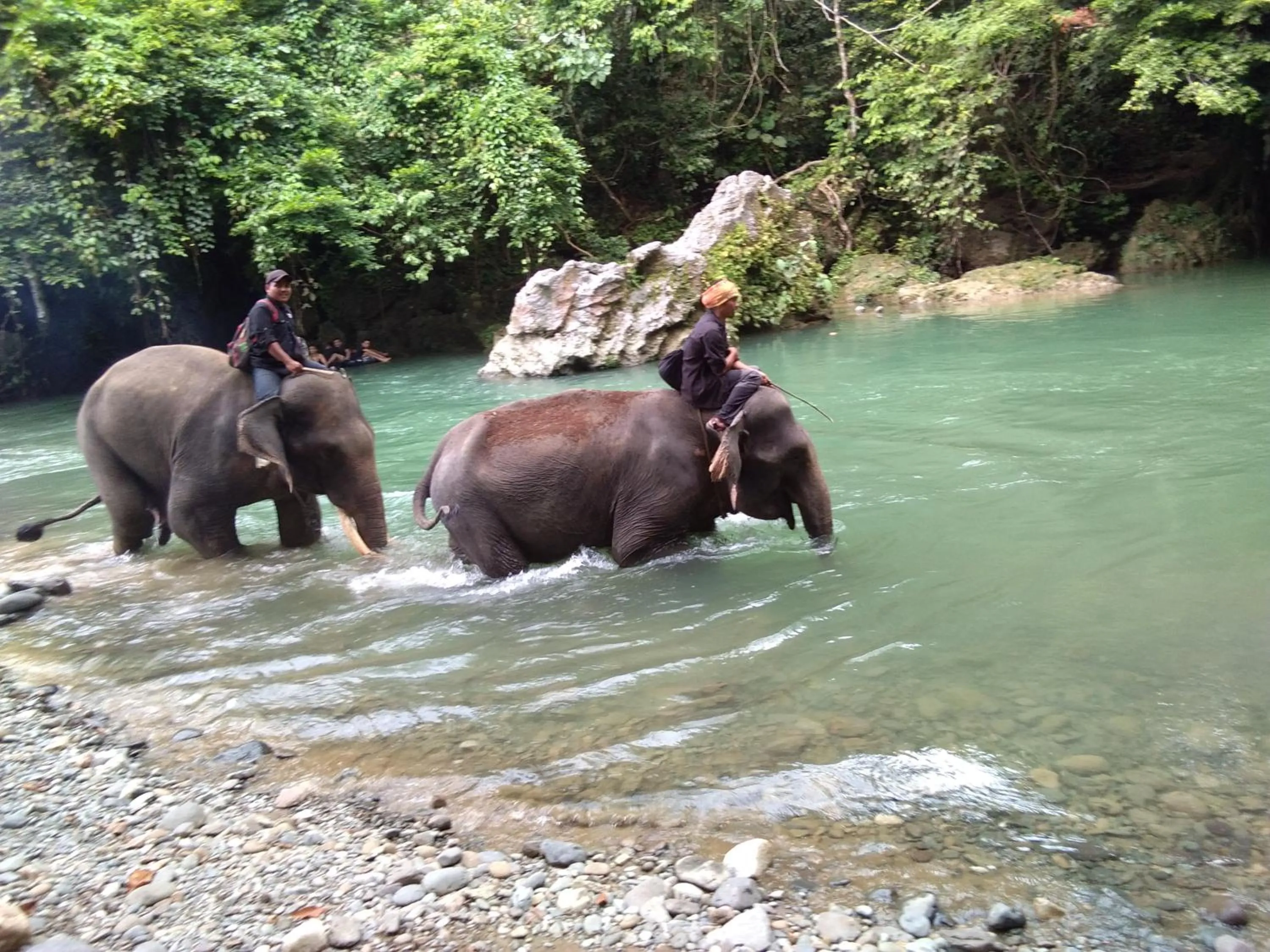 Jungle Trekking & Jungle Tour only stay here if you are and you must booking jungle trekking with us