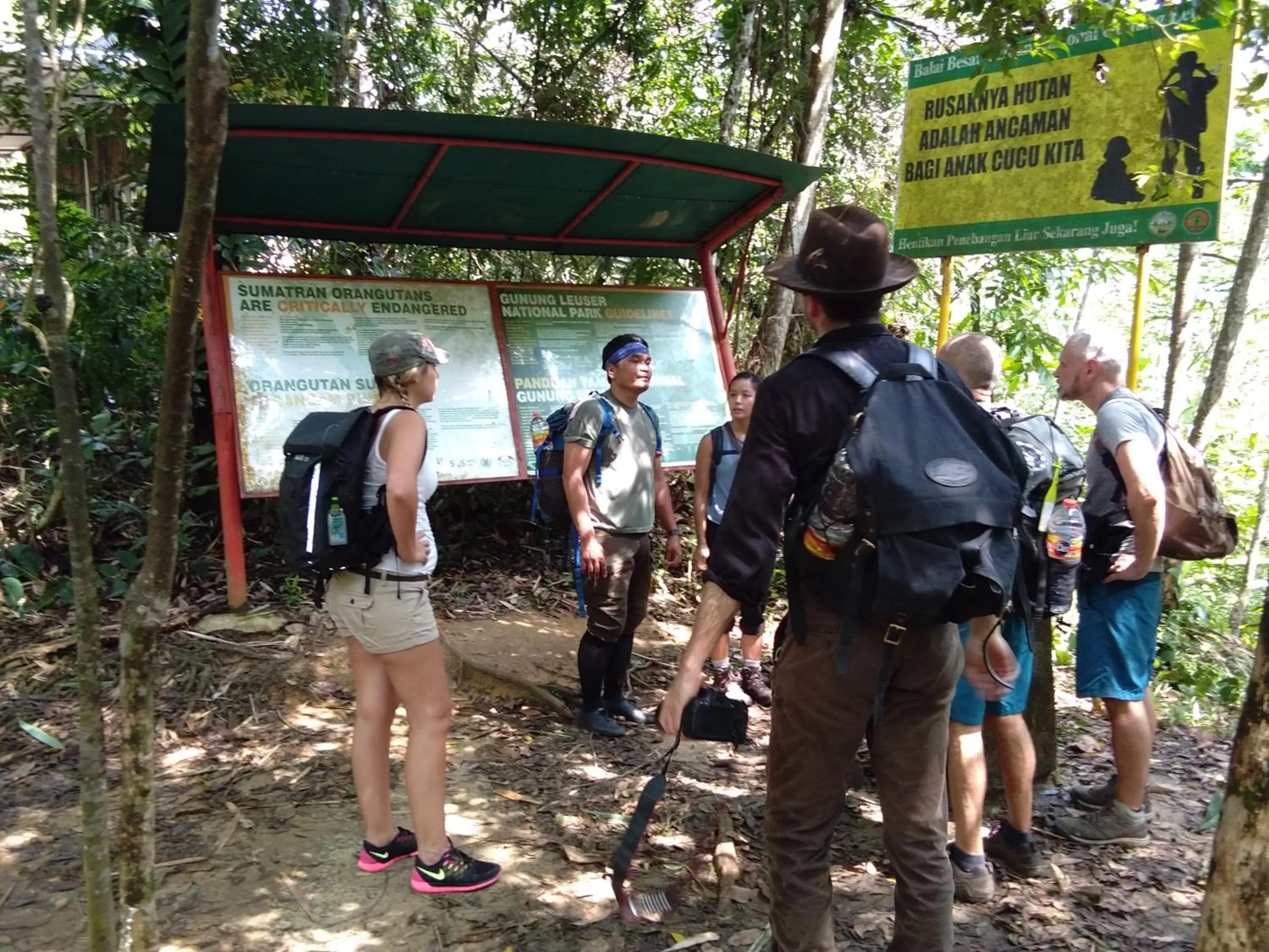 Jungle Trekking & Jungle Tour only stay here if you are and you must booking jungle trekking with us