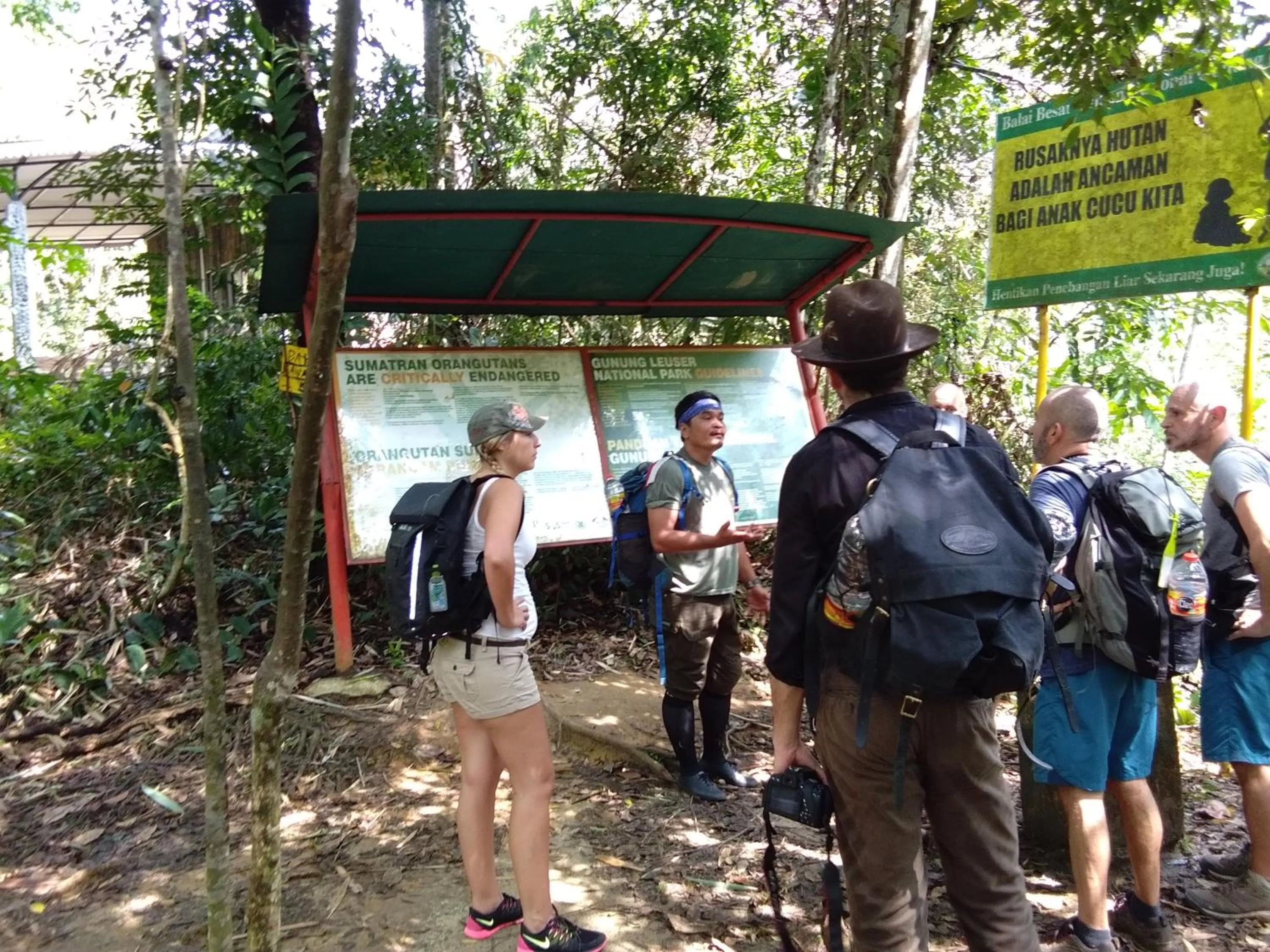 Jungle Trekking & Jungle Tour only stay here if you are and you must booking jungle trekking with us