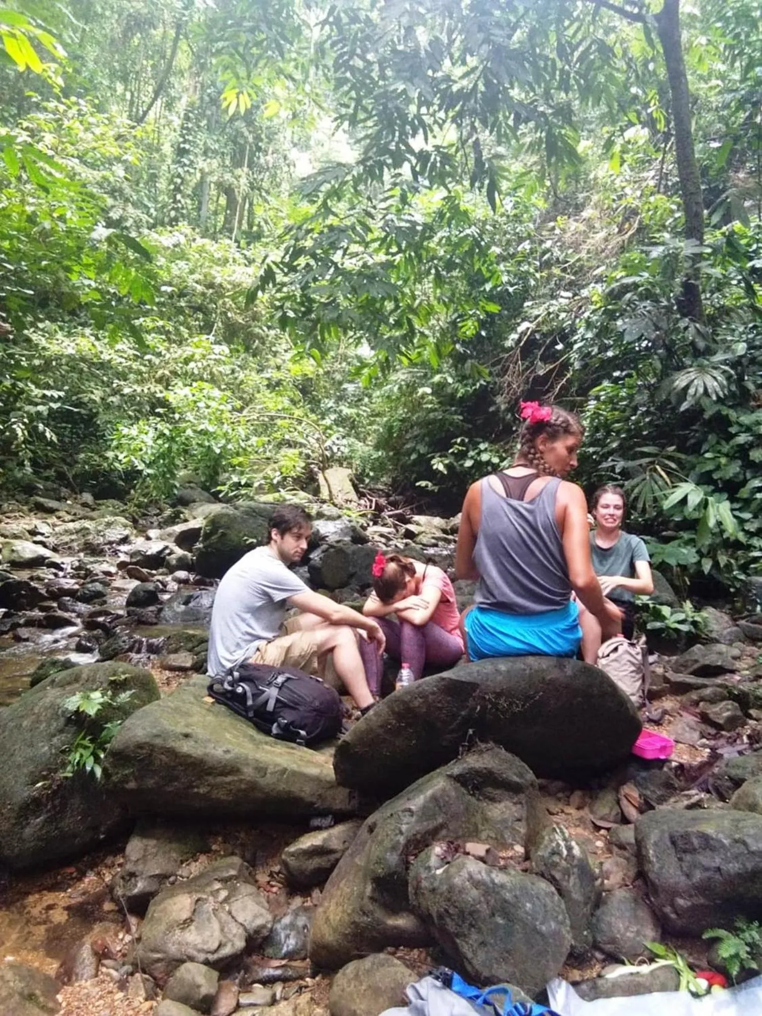 Hiking in Jungle Trekking & Jungle Tour only stay here if you are and you must booking jungle trekking with us