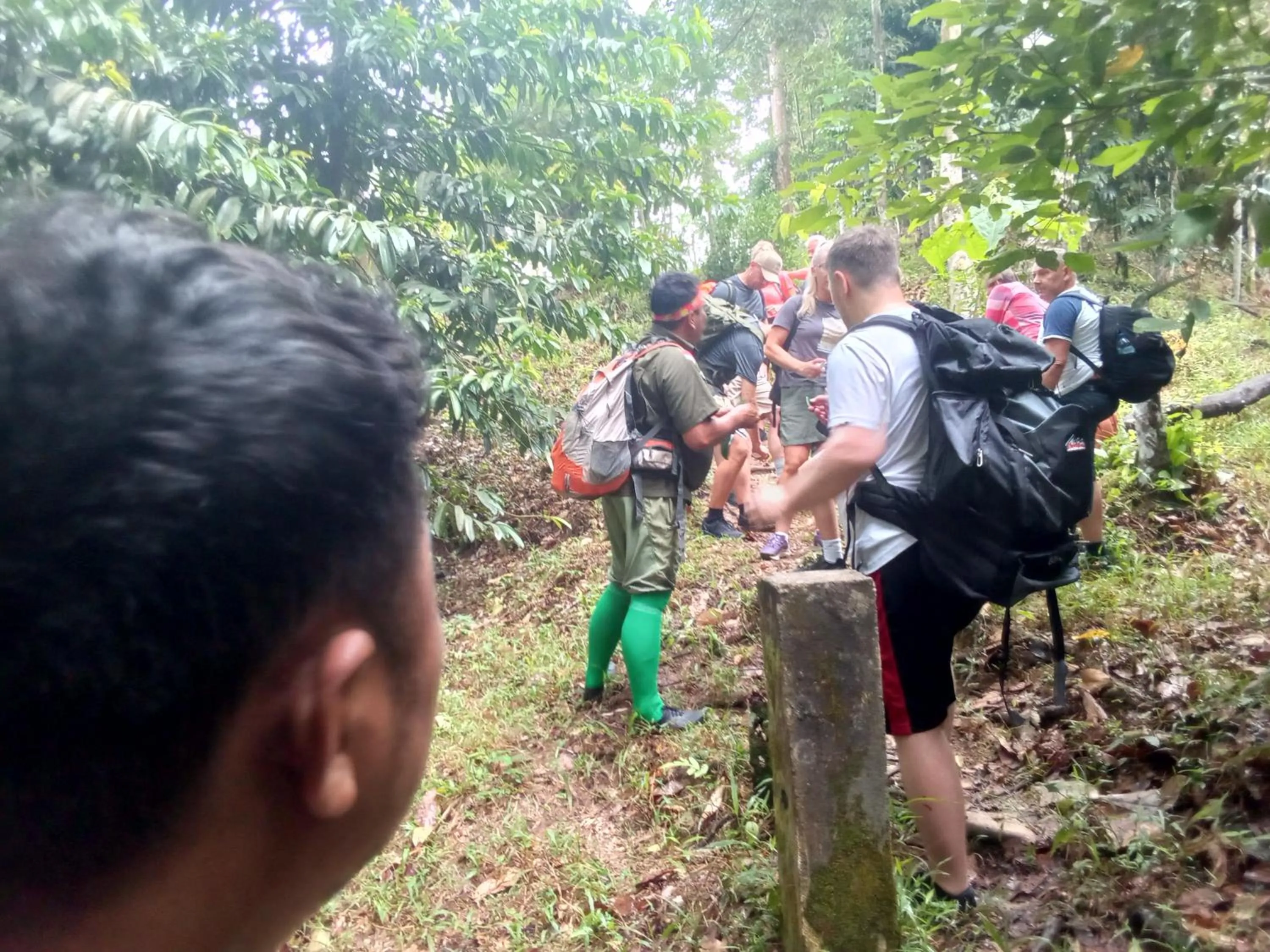 Jungle Trekking & Jungle Tour only stay here if you are and you must booking jungle trekking with us