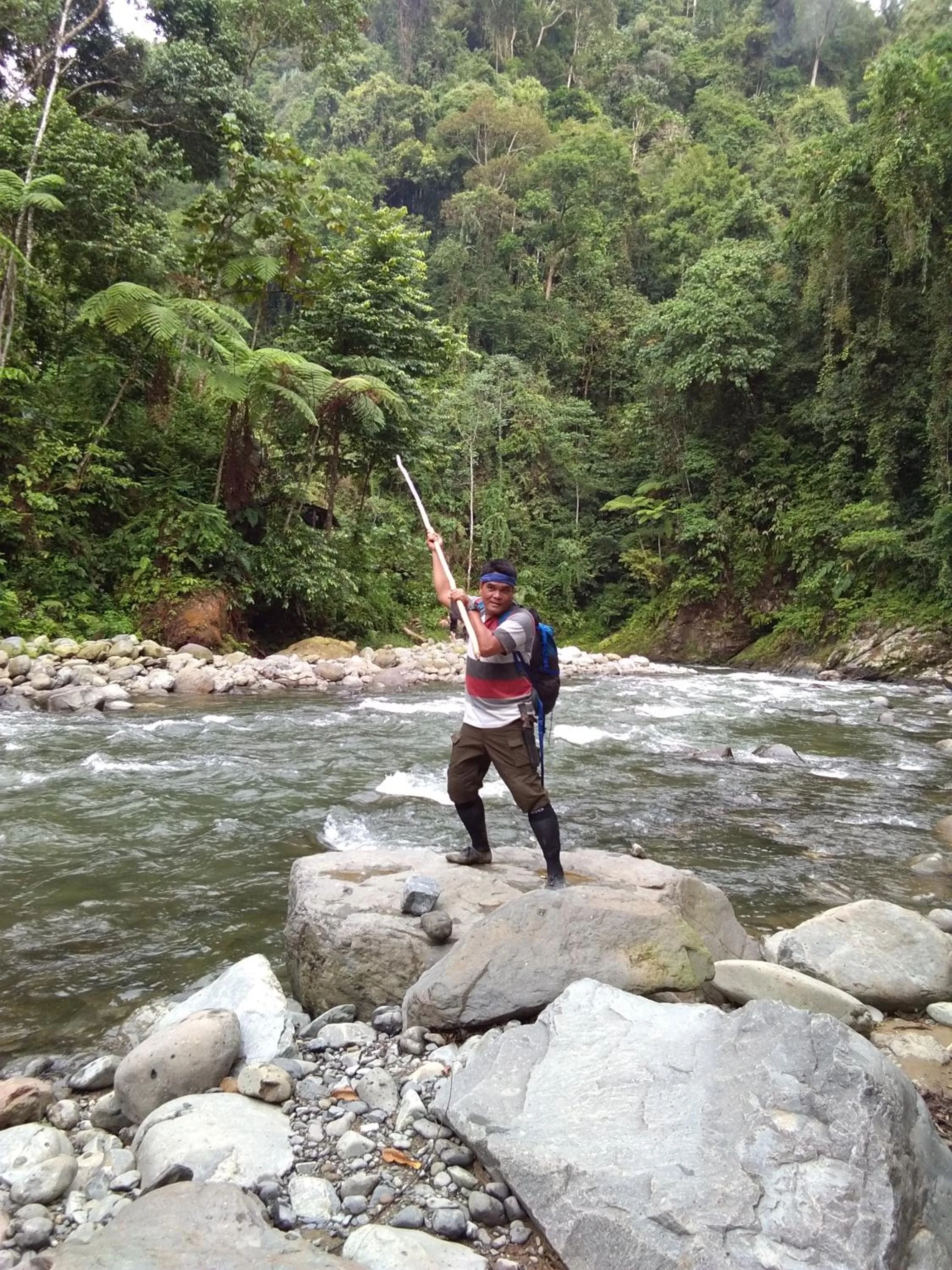 Jungle Trekking & Jungle Tour only stay here if you are and you must booking jungle trekking with us
