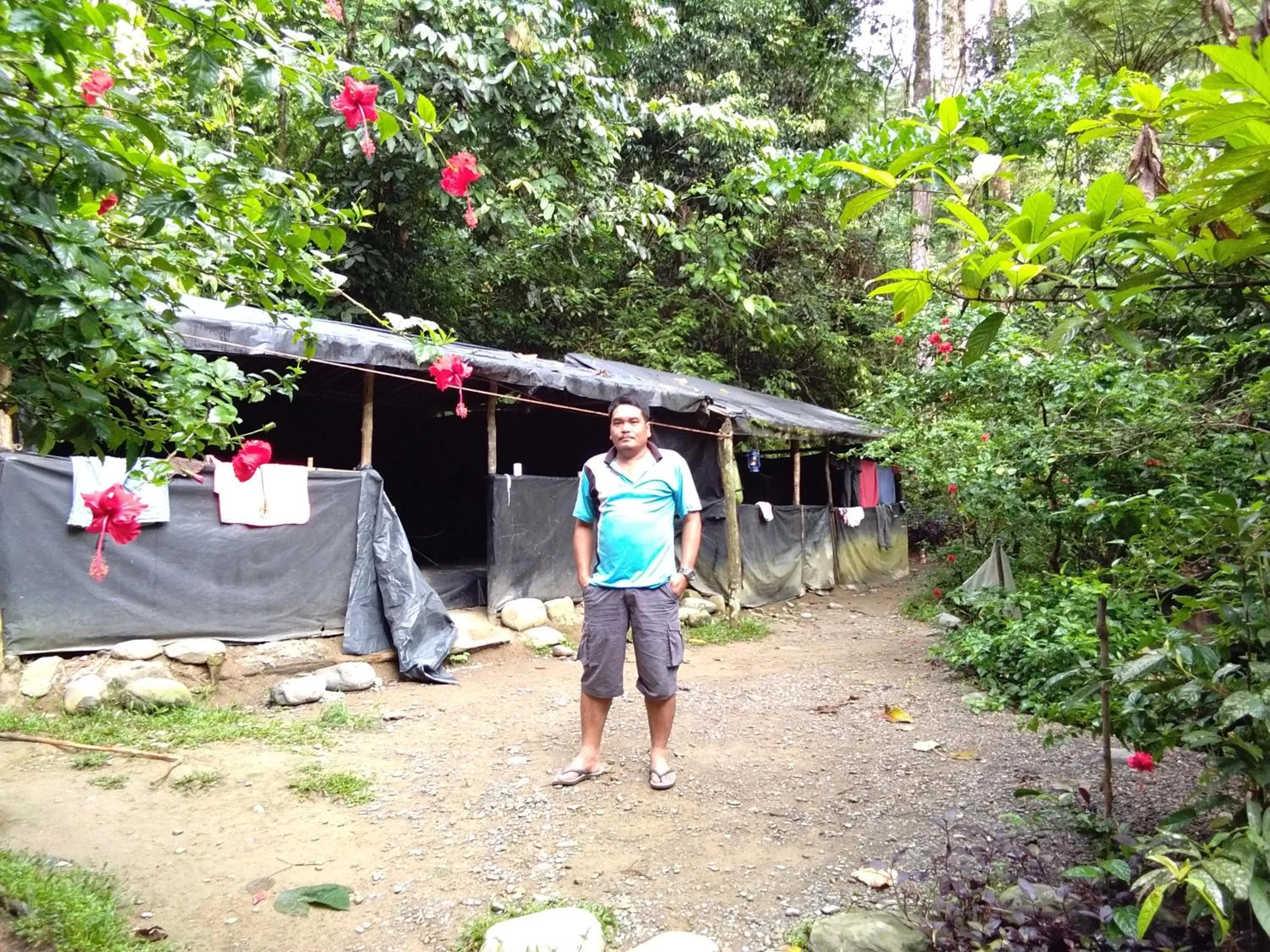 Jungle Trekking & Jungle Tour only stay here if you are and you must booking jungle trekking with us