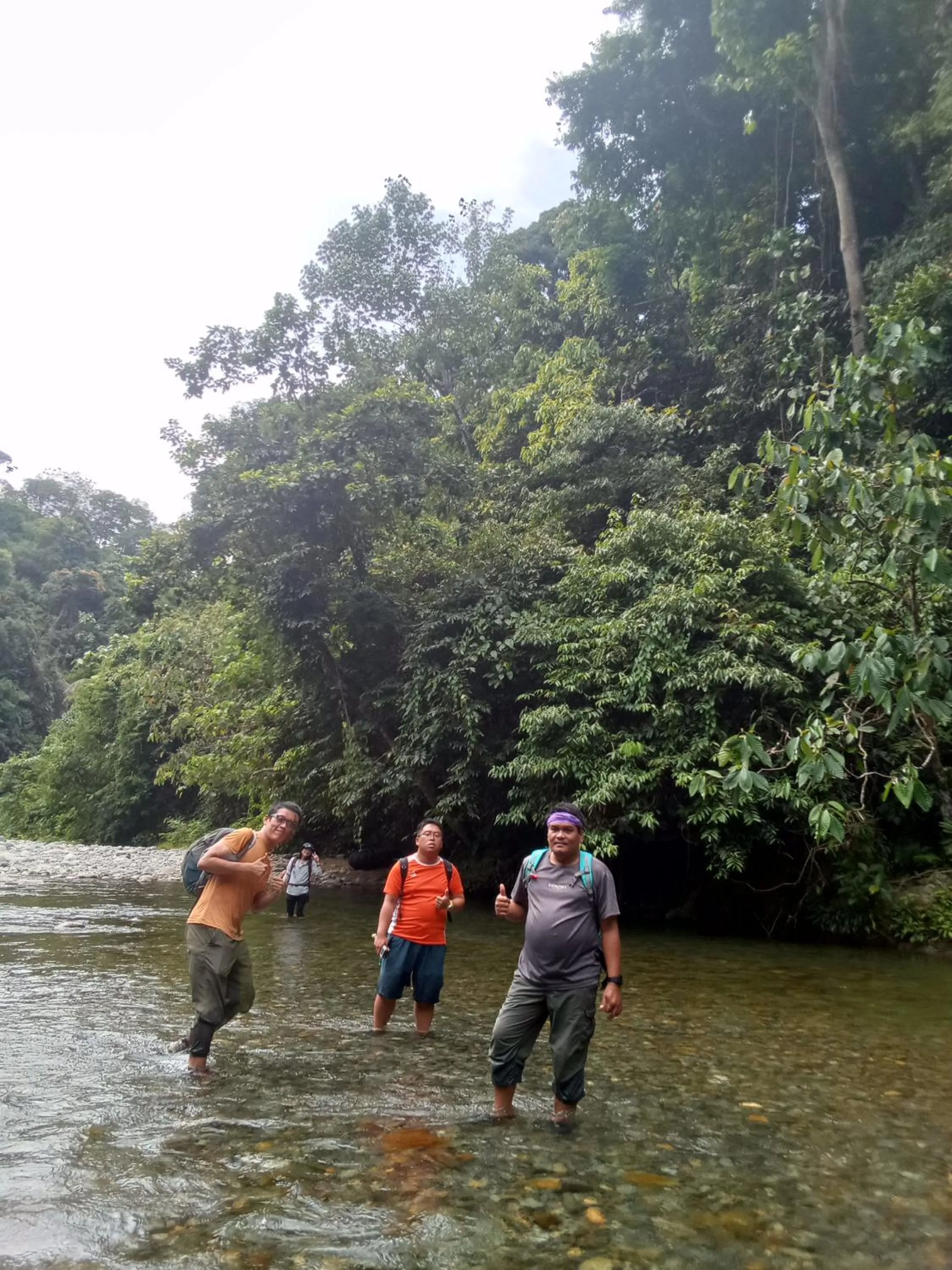 Jungle Trekking & Jungle Tour only stay here if you are and you must booking jungle trekking with us