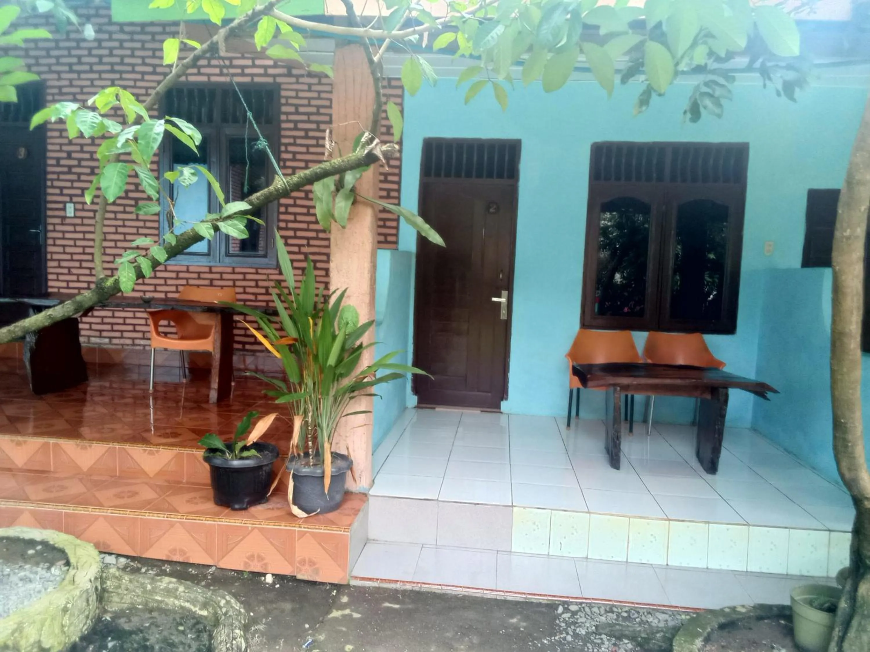 Jungle Trekking & Jungle Tour only stay here if you are and you must booking jungle trekking with us