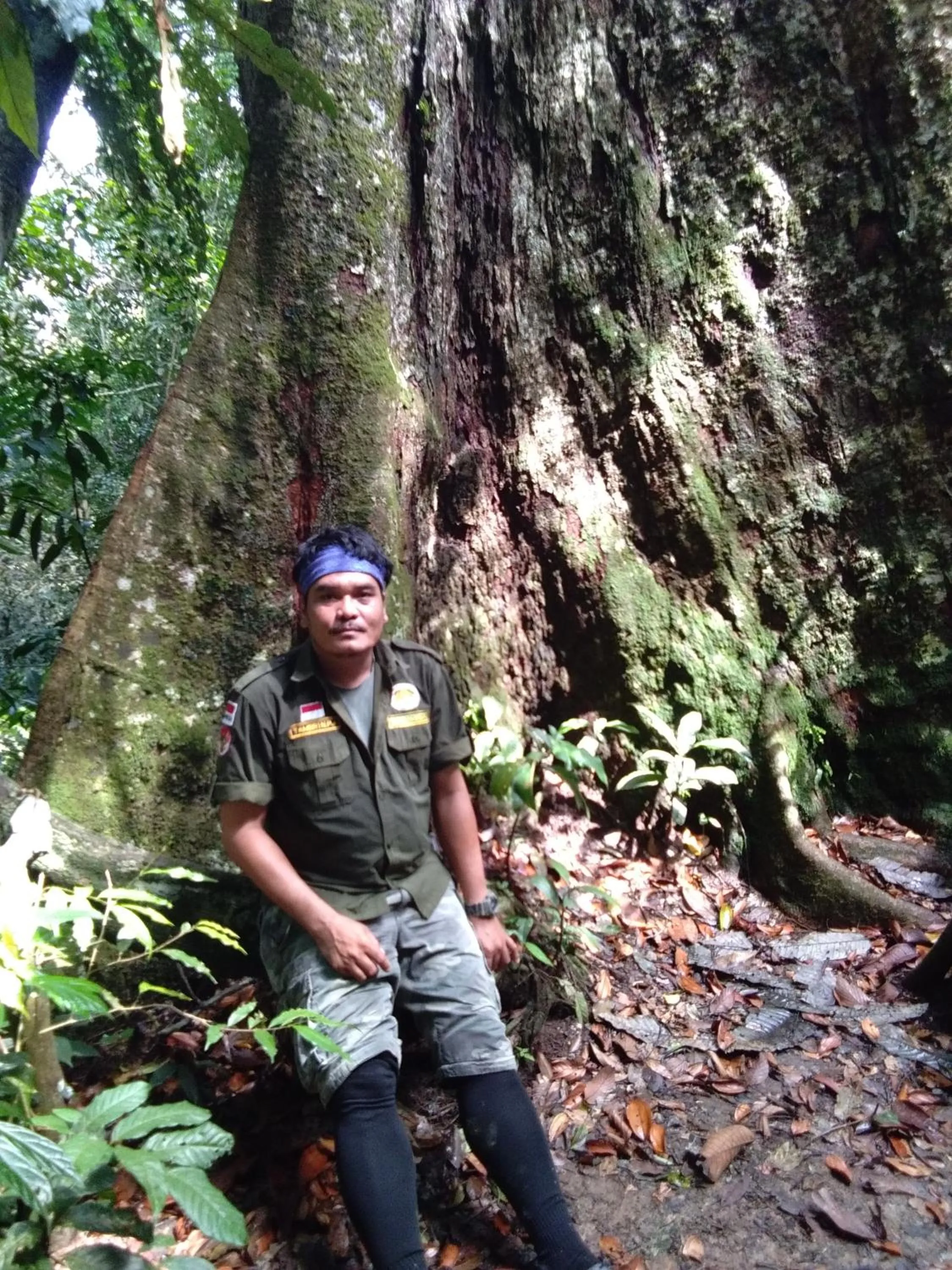 Jungle Trekking & Jungle Tour only stay here if you are and you must booking jungle trekking with us