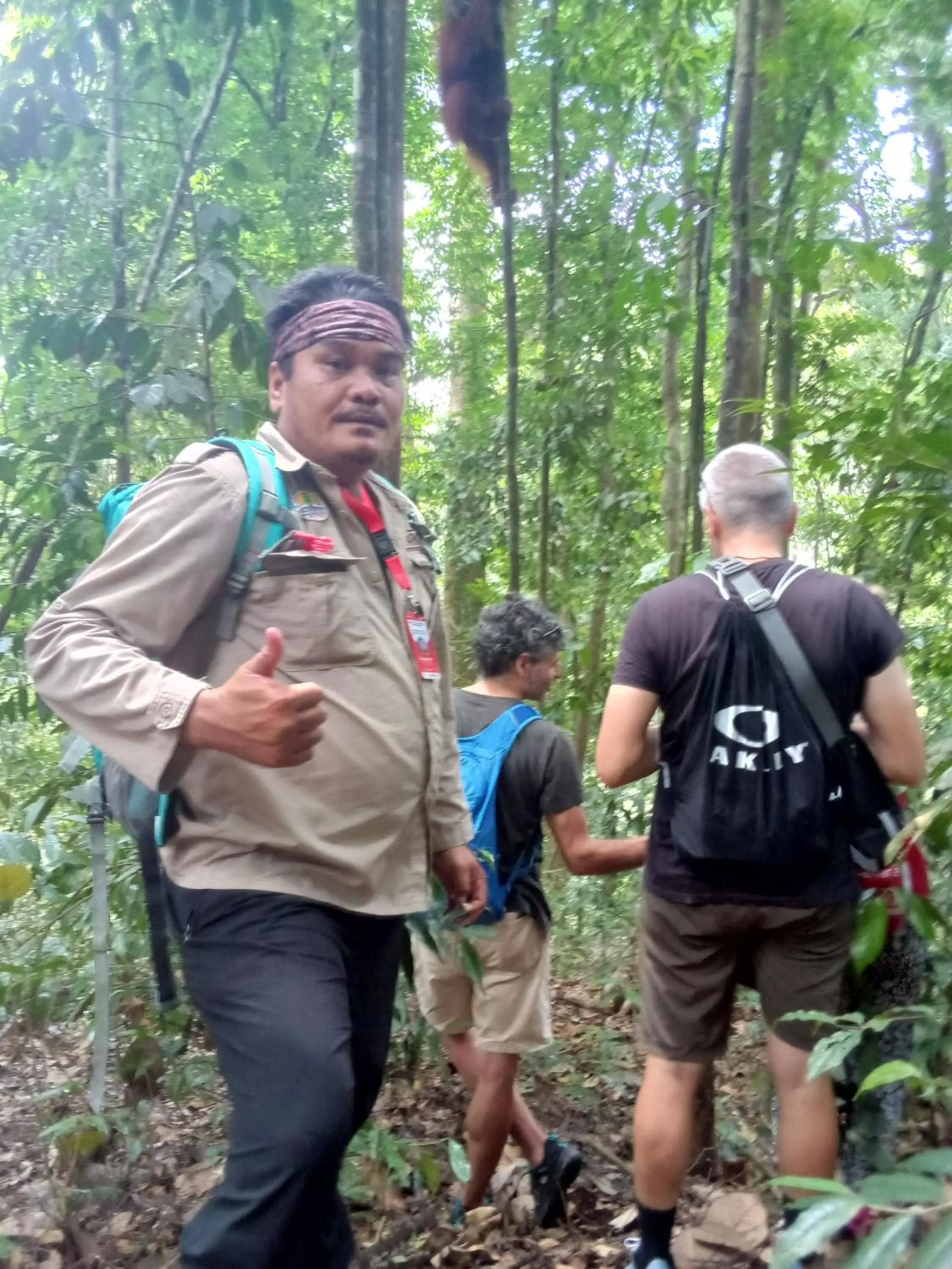 Jungle Trekking & Jungle Tour only stay here if you are and you must booking jungle trekking with us