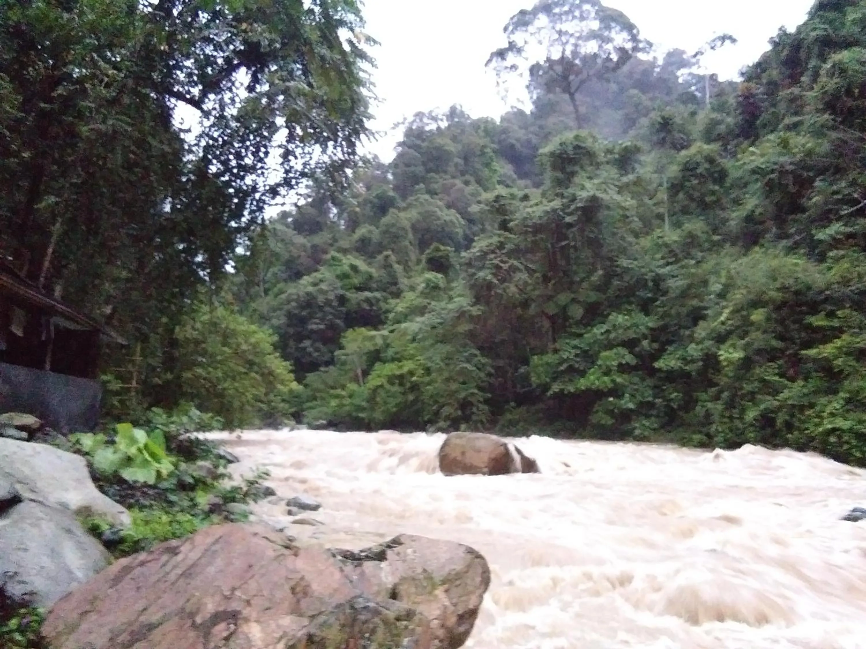 Jungle Trekking & Jungle Tour only stay here if you are and you must booking jungle trekking with us