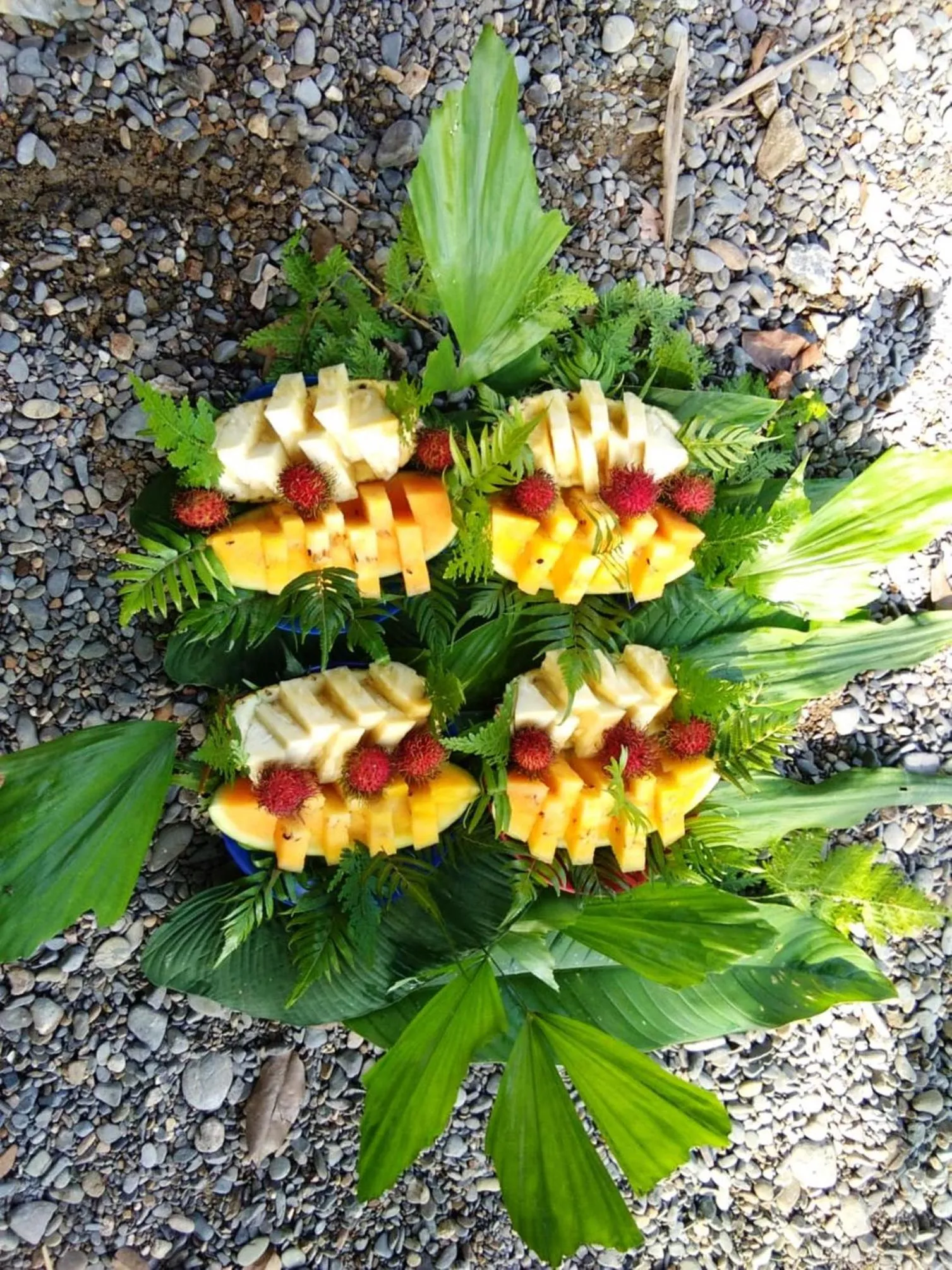 Hiking in Jungle Trekking & Jungle Tour only stay here if you are and you must booking jungle trekking with us