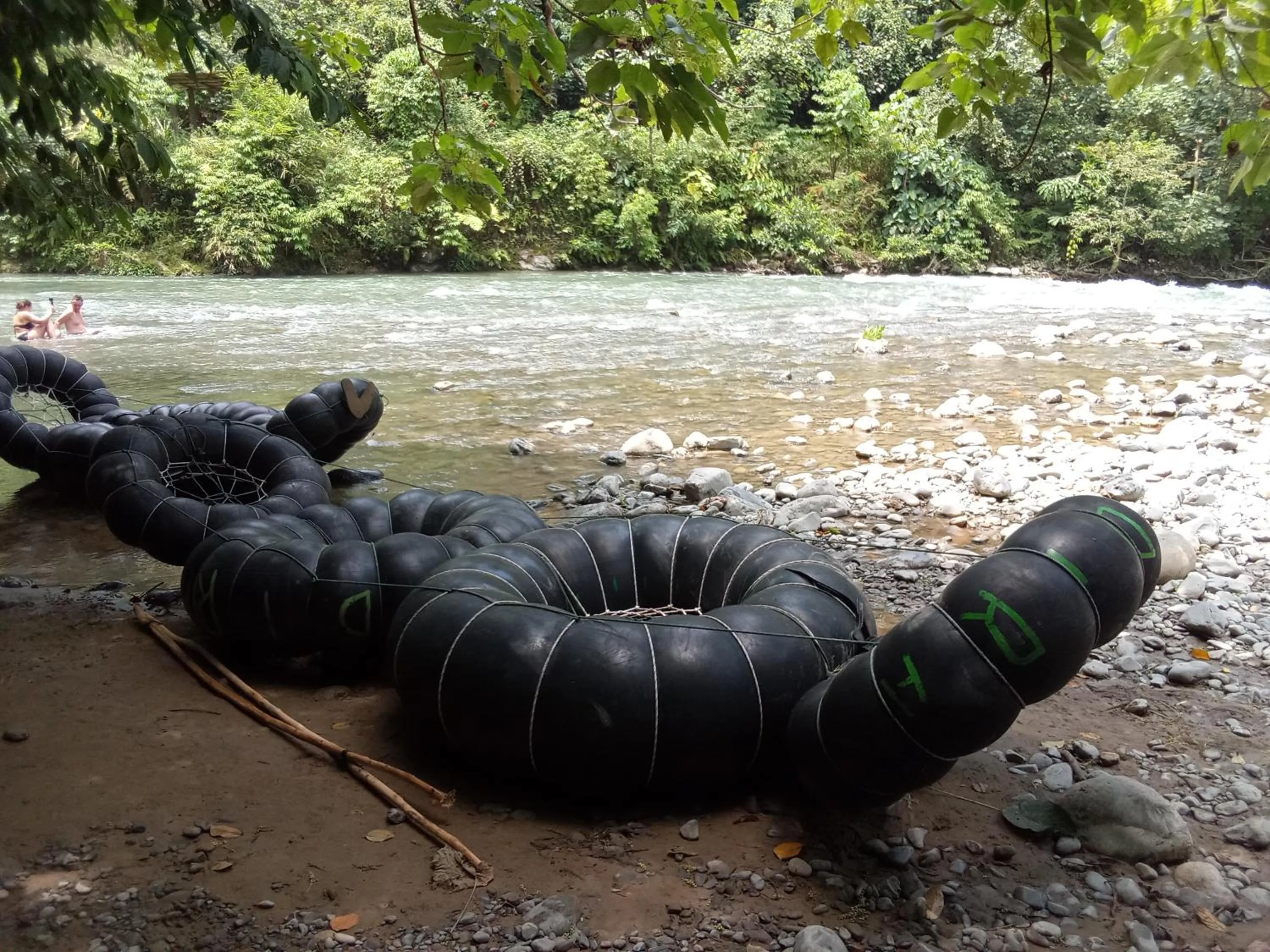 Jungle Trekking & Jungle Tour only stay here if you are and you must booking jungle trekking with us