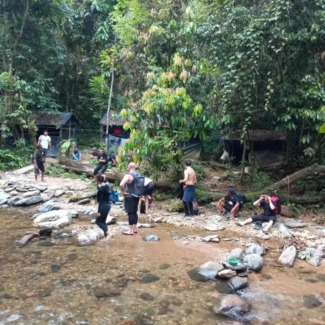 Jungle Trekking & Jungle Tour only stay here if you are and you must booking jungle trekking with us