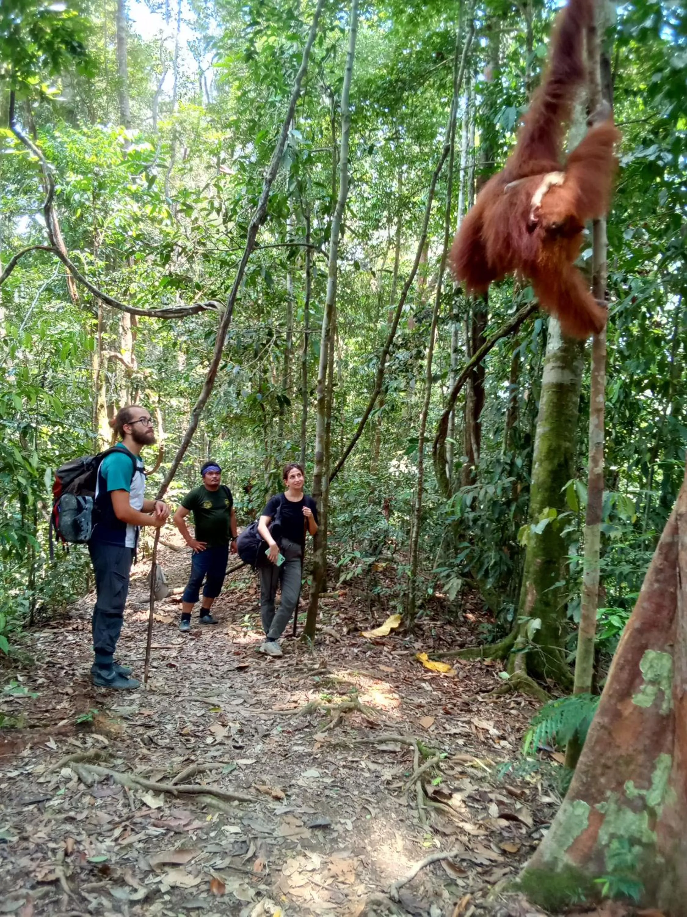 Jungle Trekking & Jungle Tour only stay here if you are and you must booking jungle trekking with us
