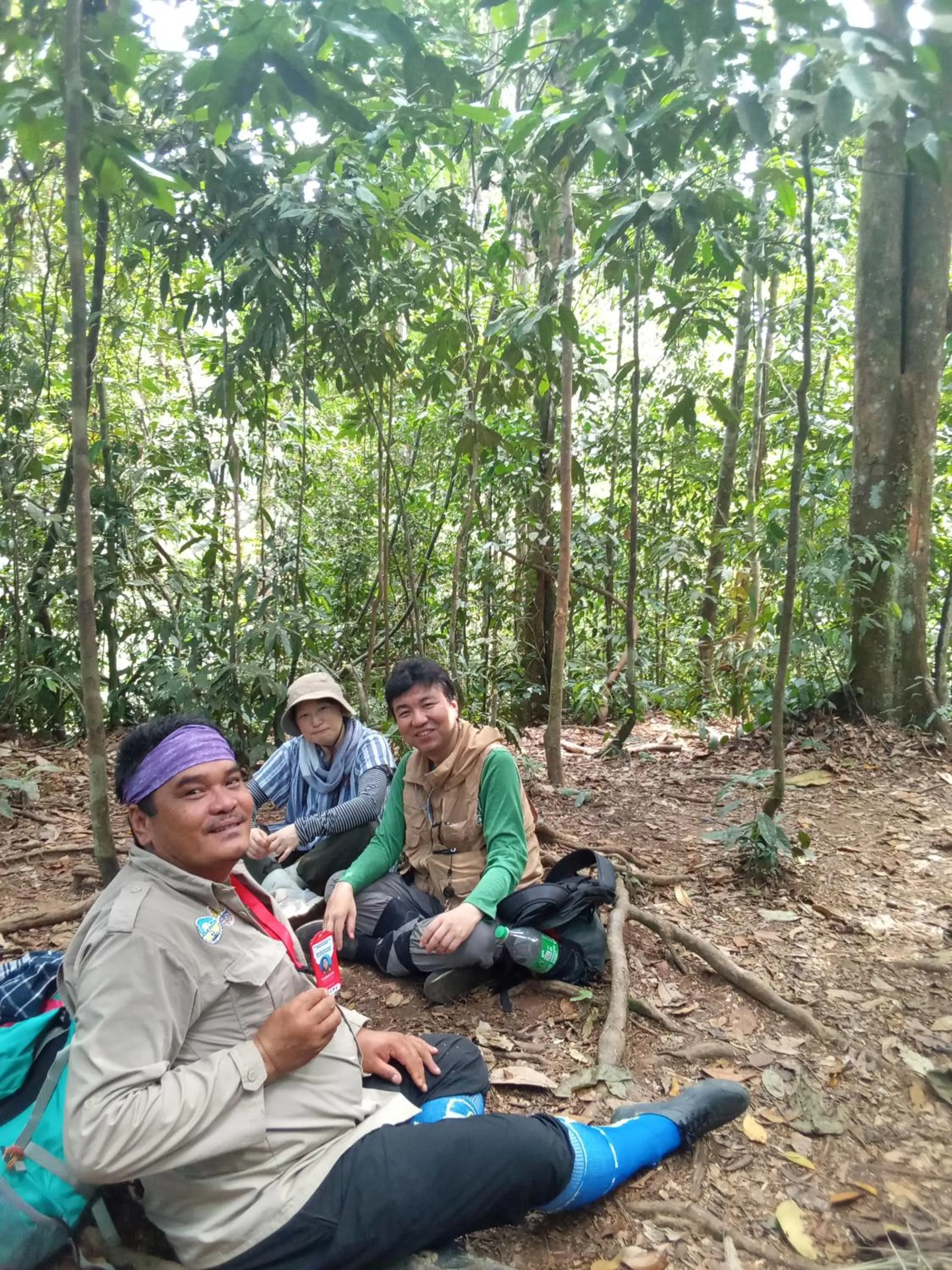 Jungle Trekking & Jungle Tour only stay here if you are and you must booking jungle trekking with us