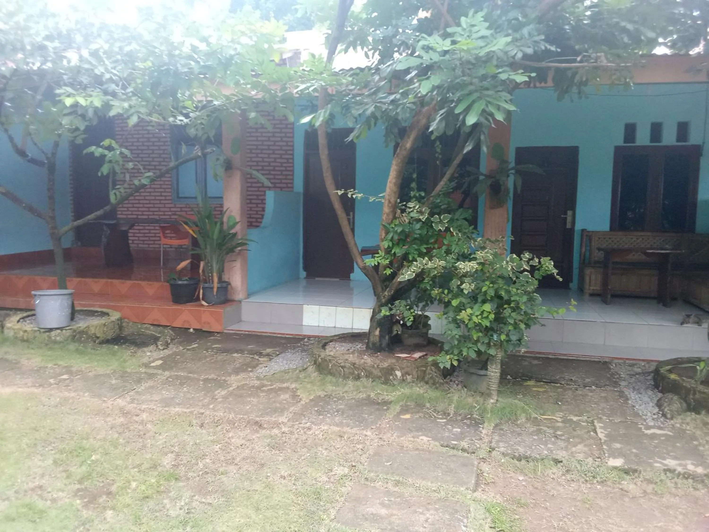 Jungle Trekking & Jungle Tour only stay here if you are and you must booking jungle trekking with us