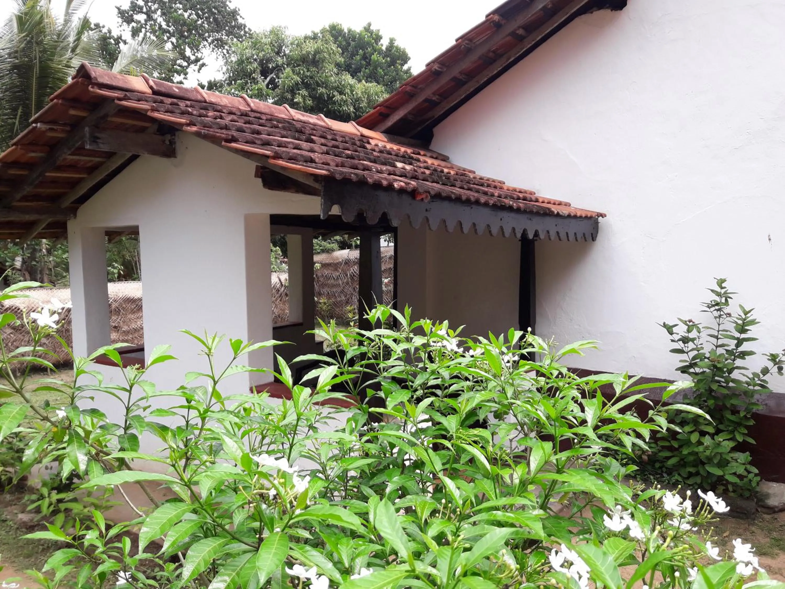 Garden in Villa Pipe Dream