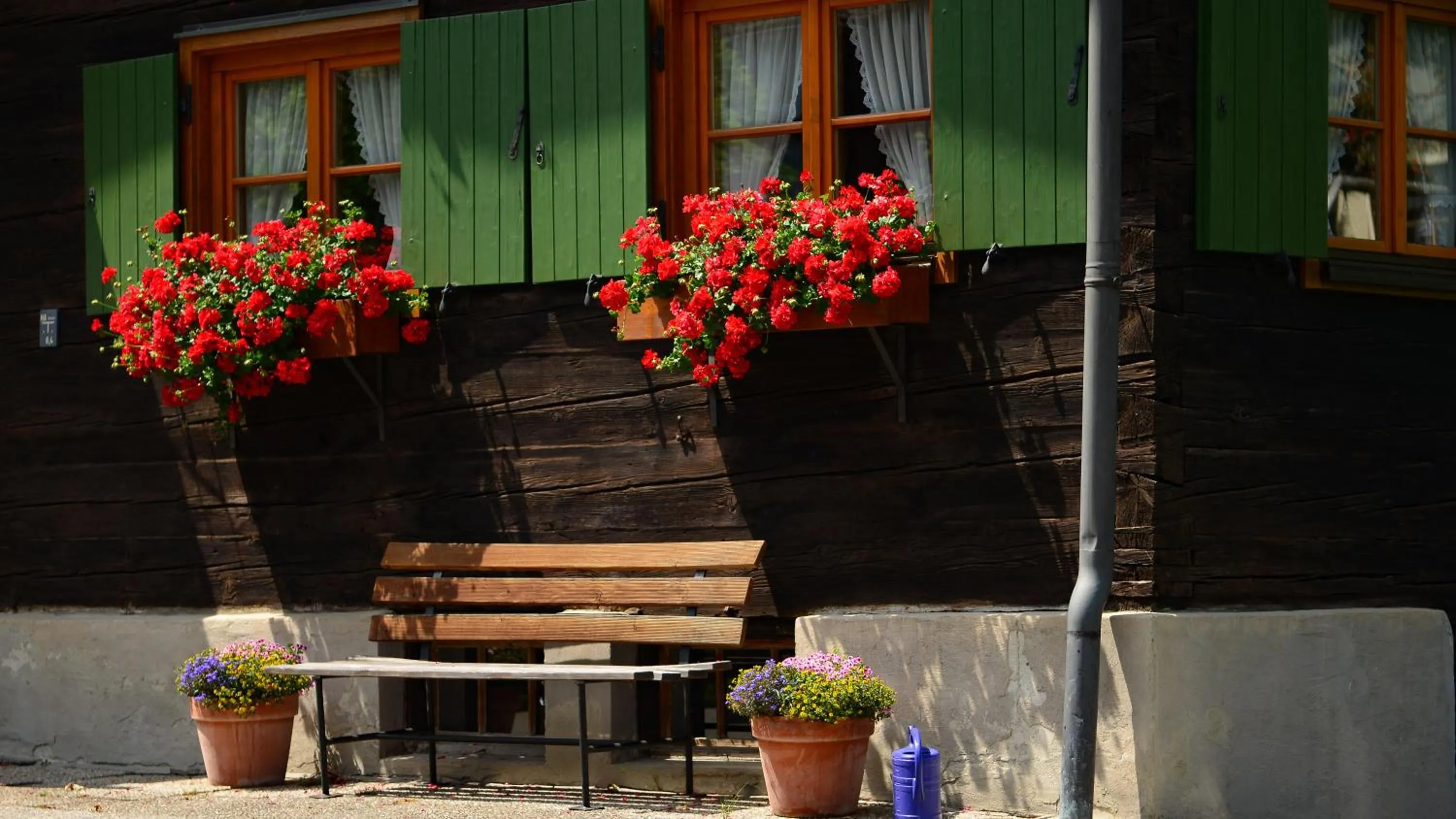 Hiking in Hotel Gasthof Rose