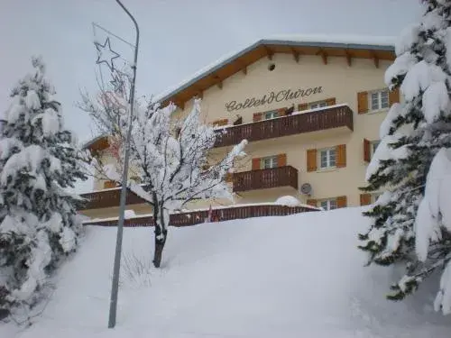 Le Collet d'Auron Le Collet d'Auron