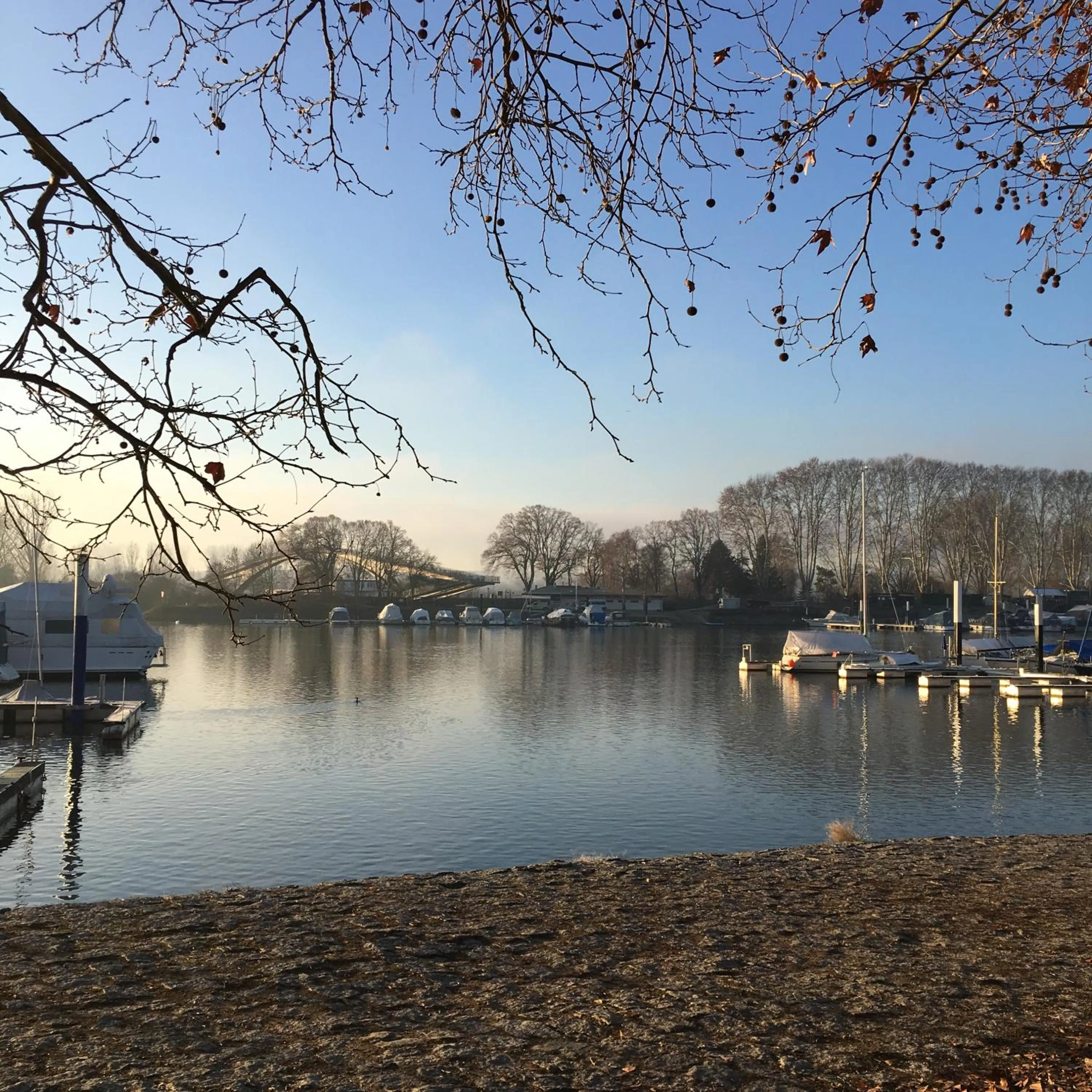 Neighbourhood in Schmuckkästle am Hafen
