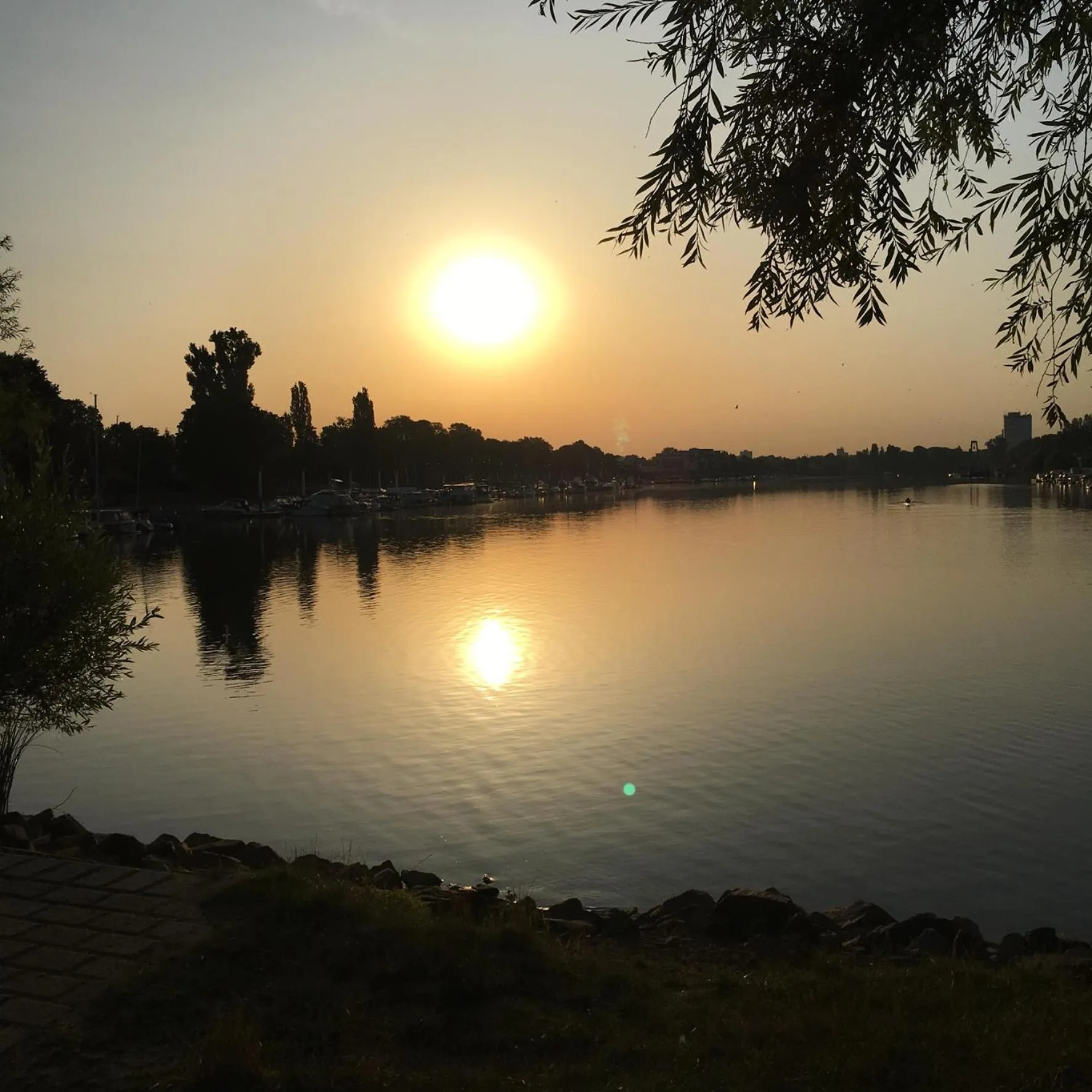 Natural landscape in Schmuckkästle am Hafen