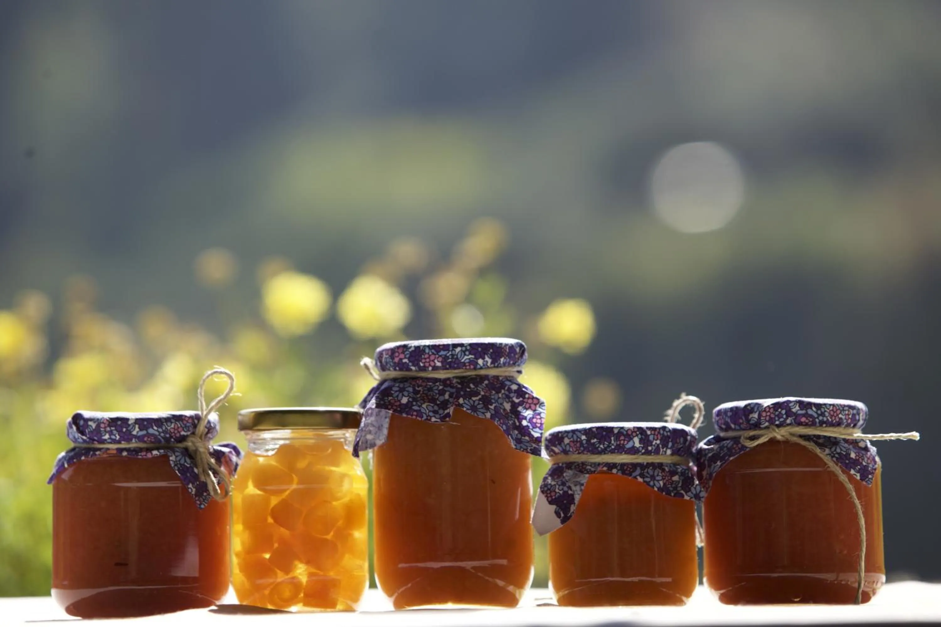 Day in Nisanyan Hotel