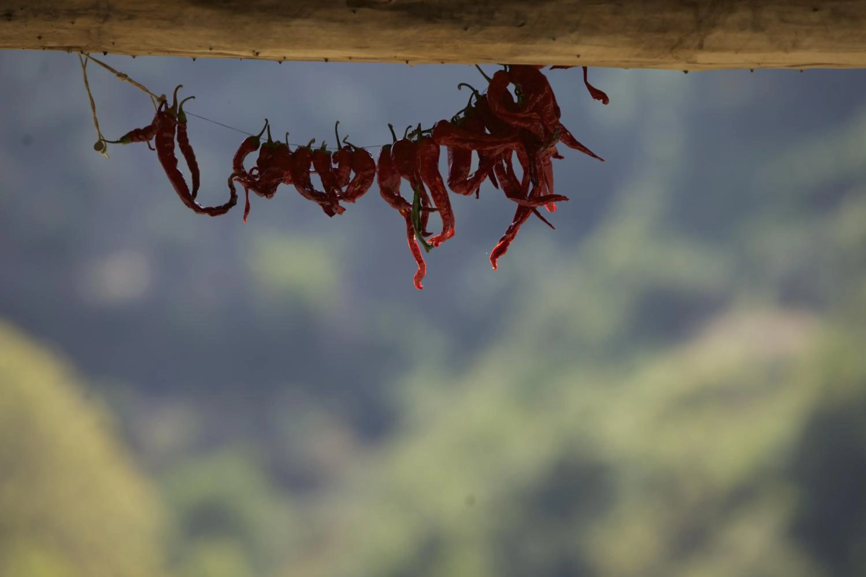 Day in Nisanyan Hotel