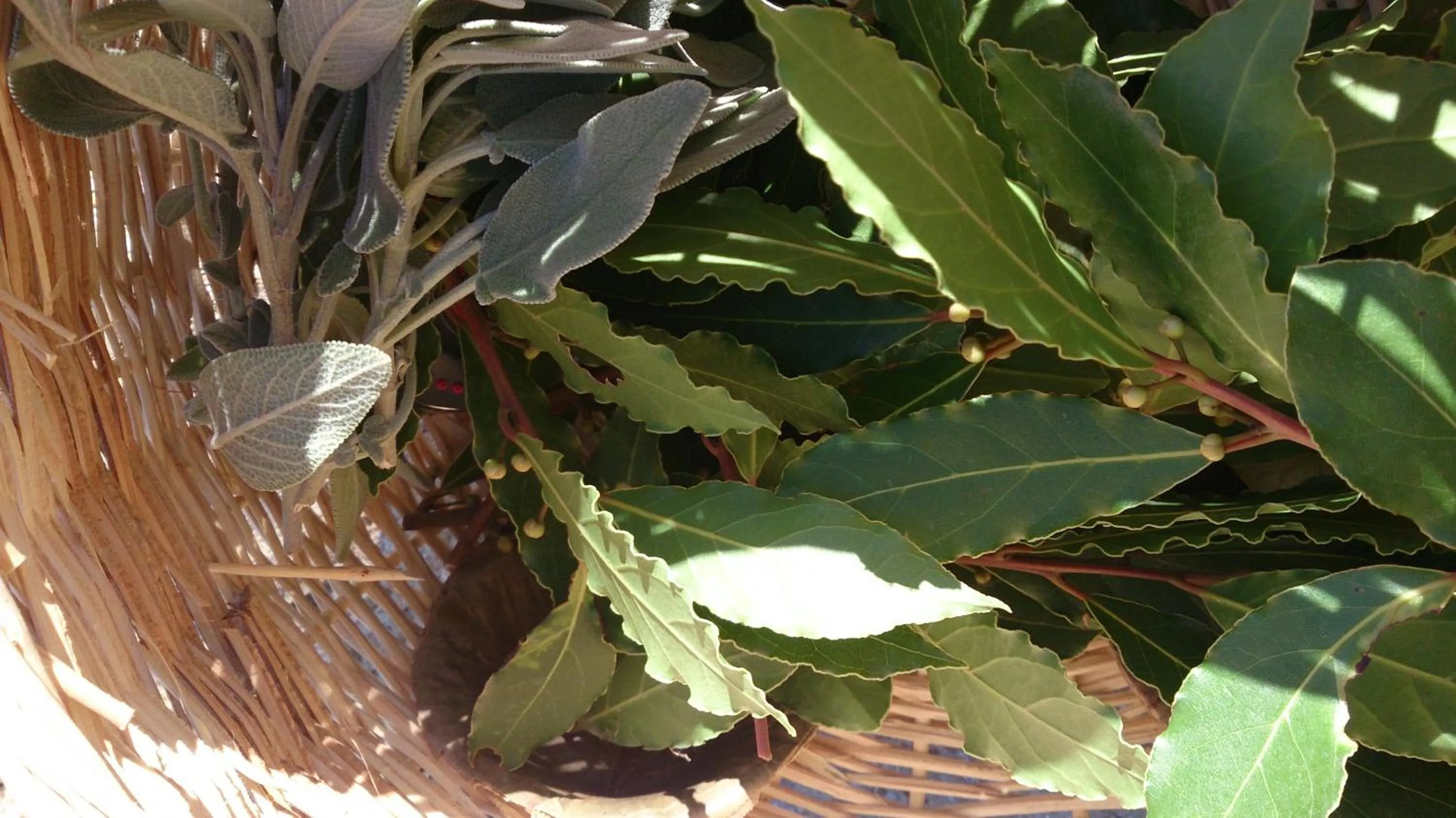 Day in Nisanyan Hotel