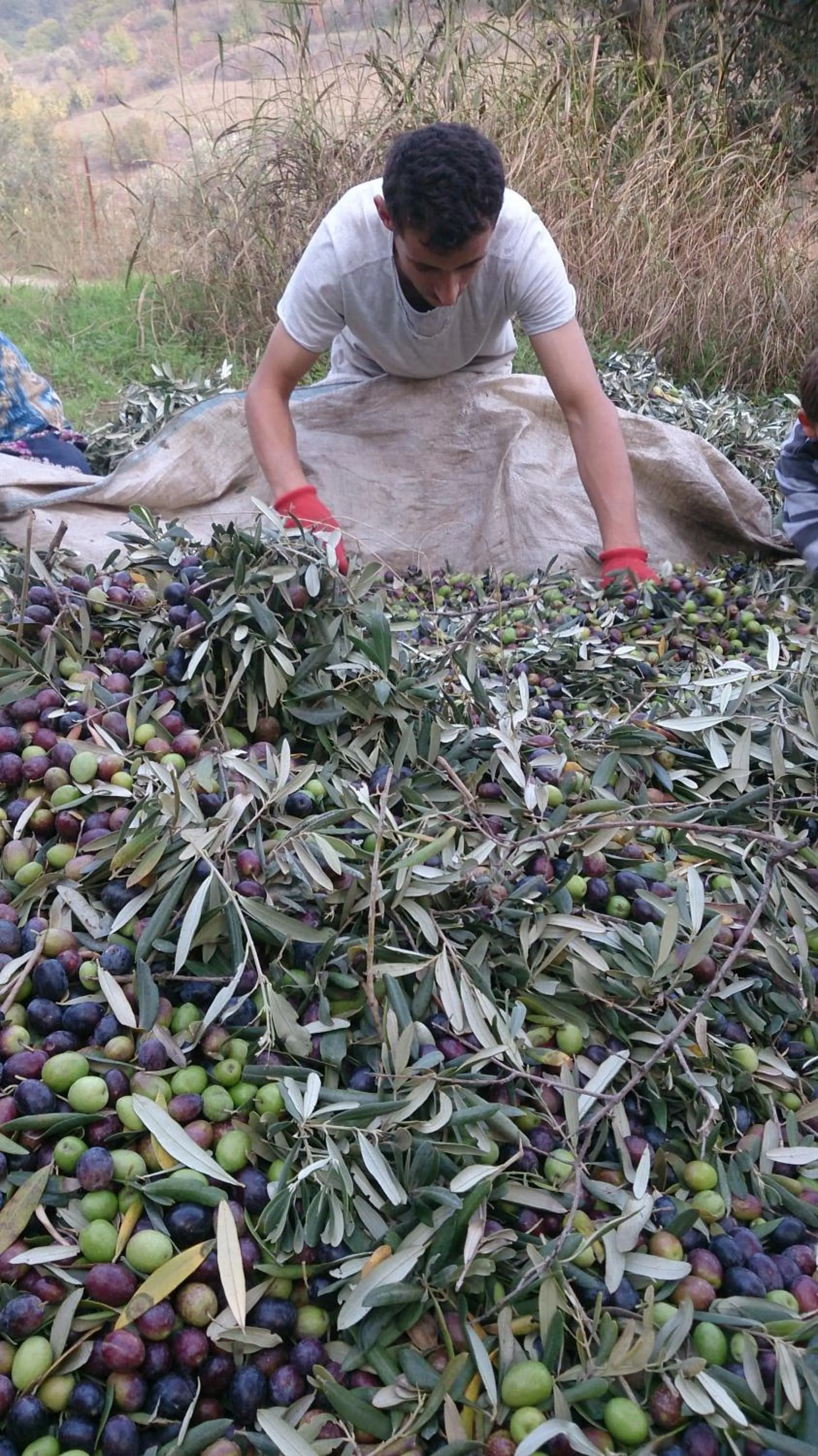 Winter in Nisanyan Hotel